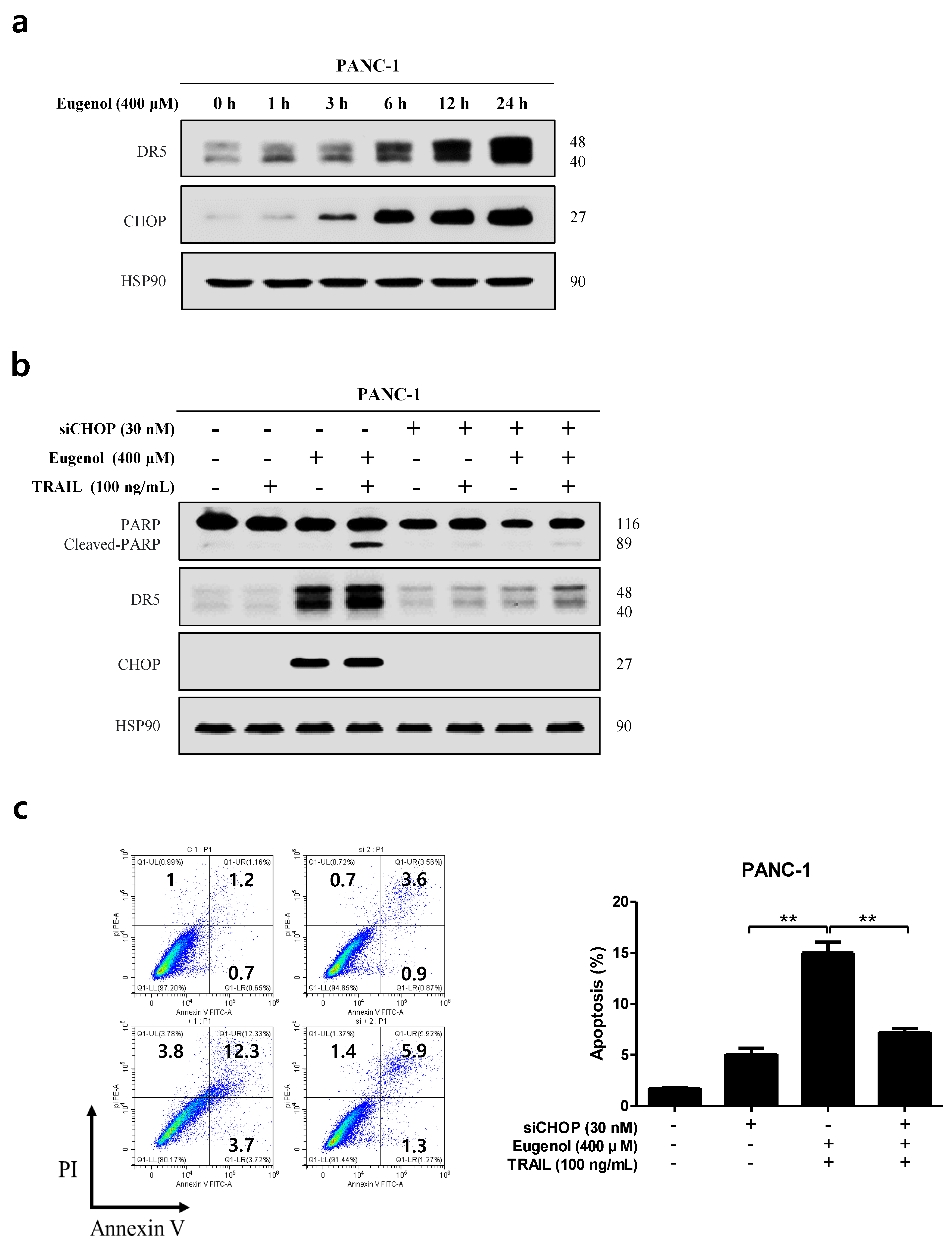 Cancers 16 03092 g007a Cancers 16 03092 g007a