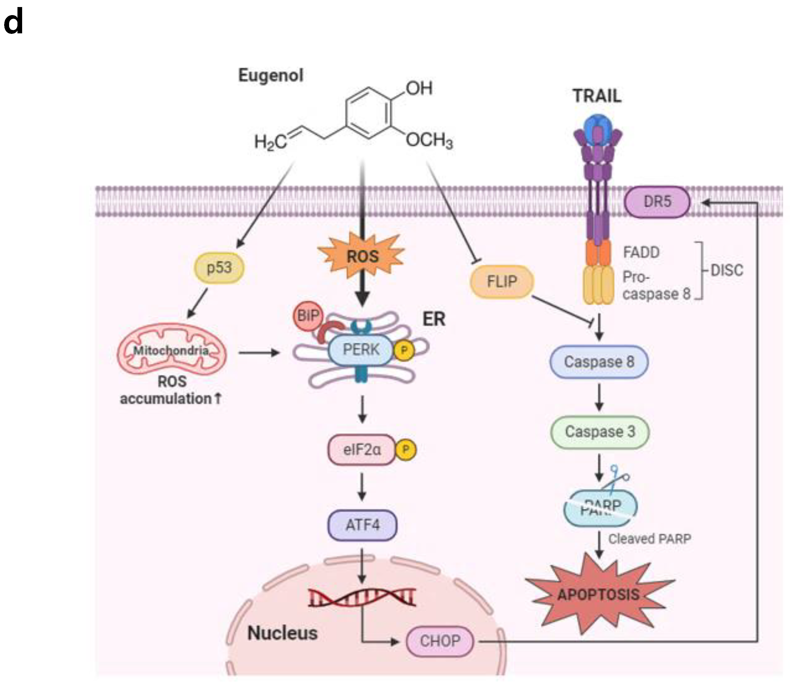 Cancers 16 03092 g007b Cancers 16 03092 g007b