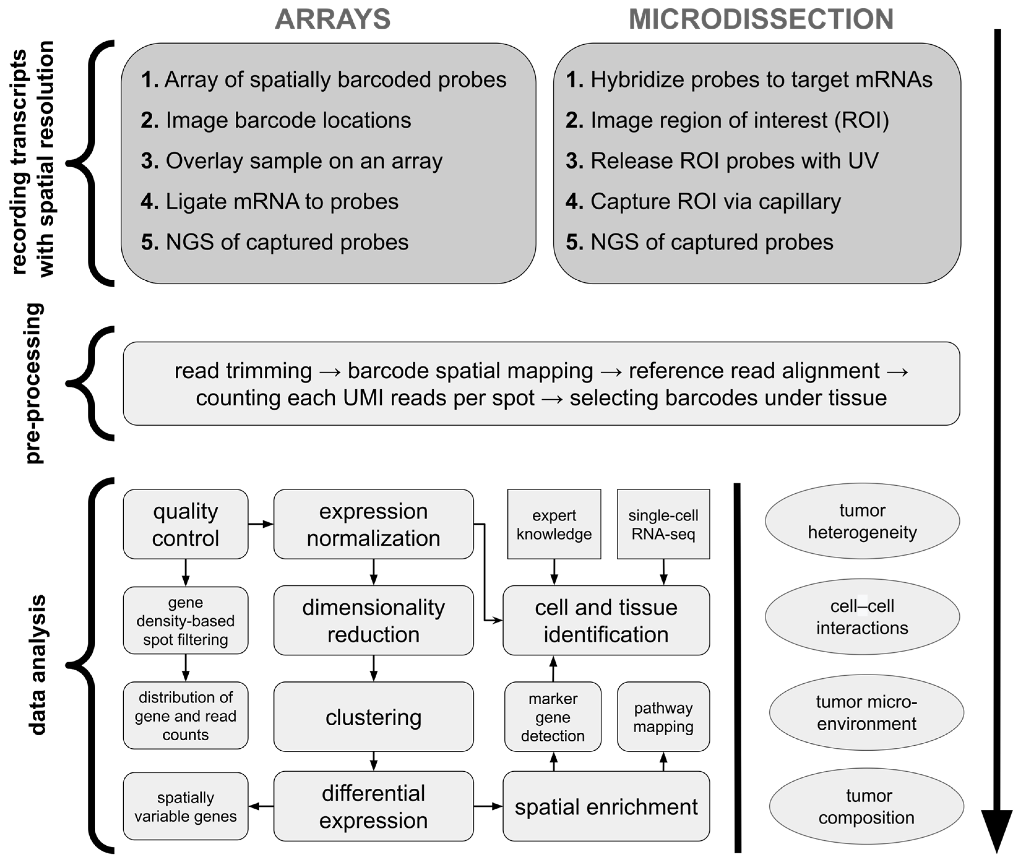Cancers 16 03100 g002