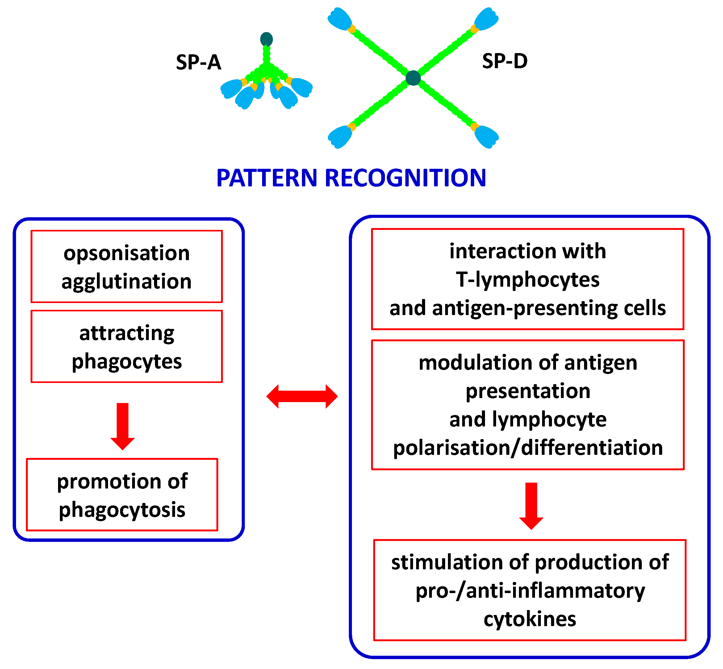 Cancers 16 03116 g003 Cancers 16 03116 g003
