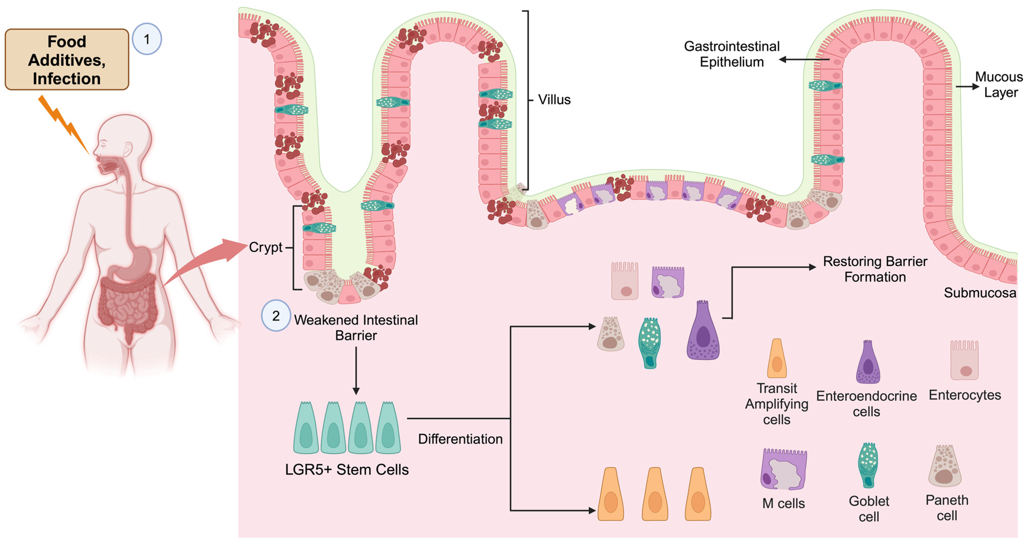 Cancers 16 03134 g001