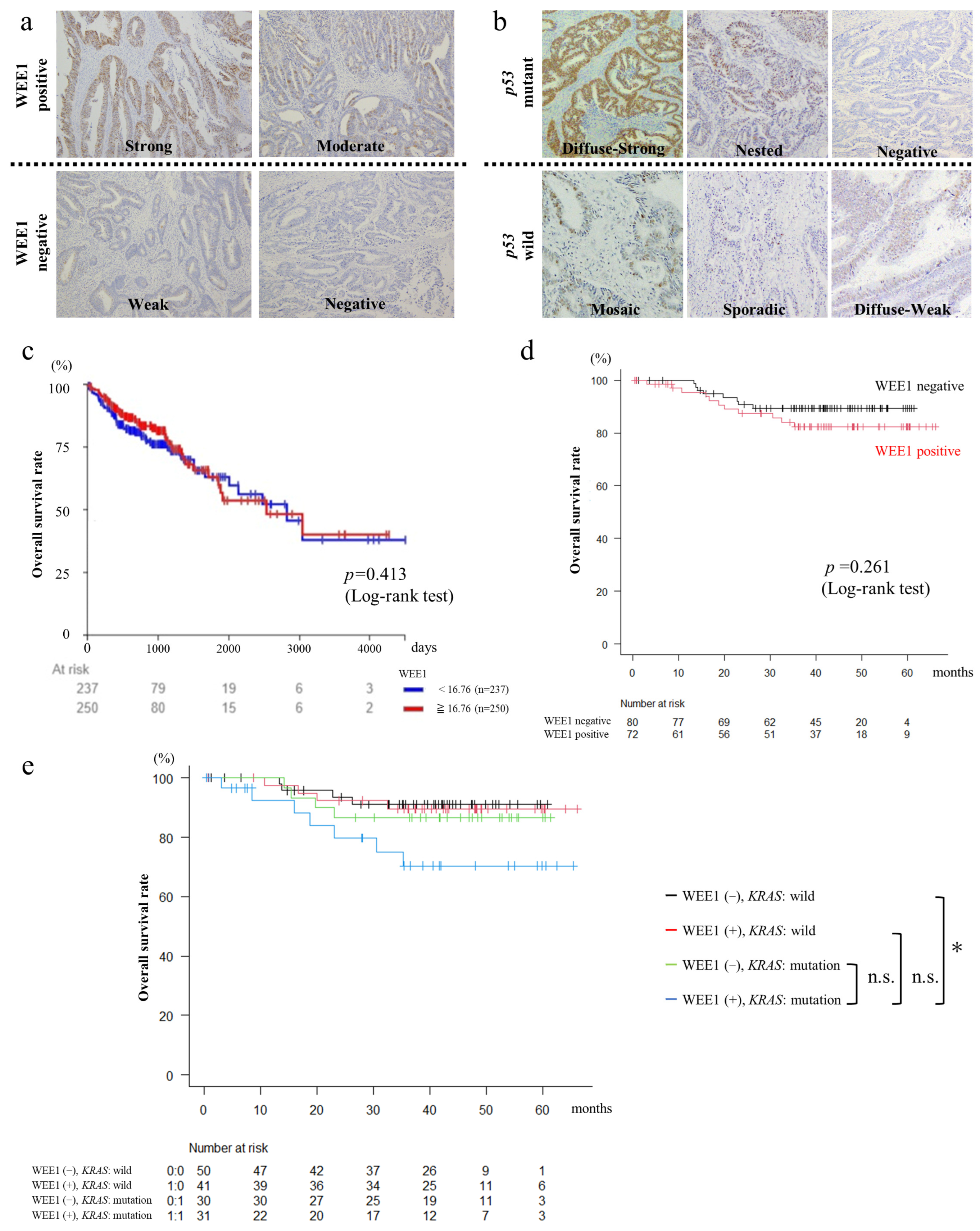 Cancers 16 03136 g001