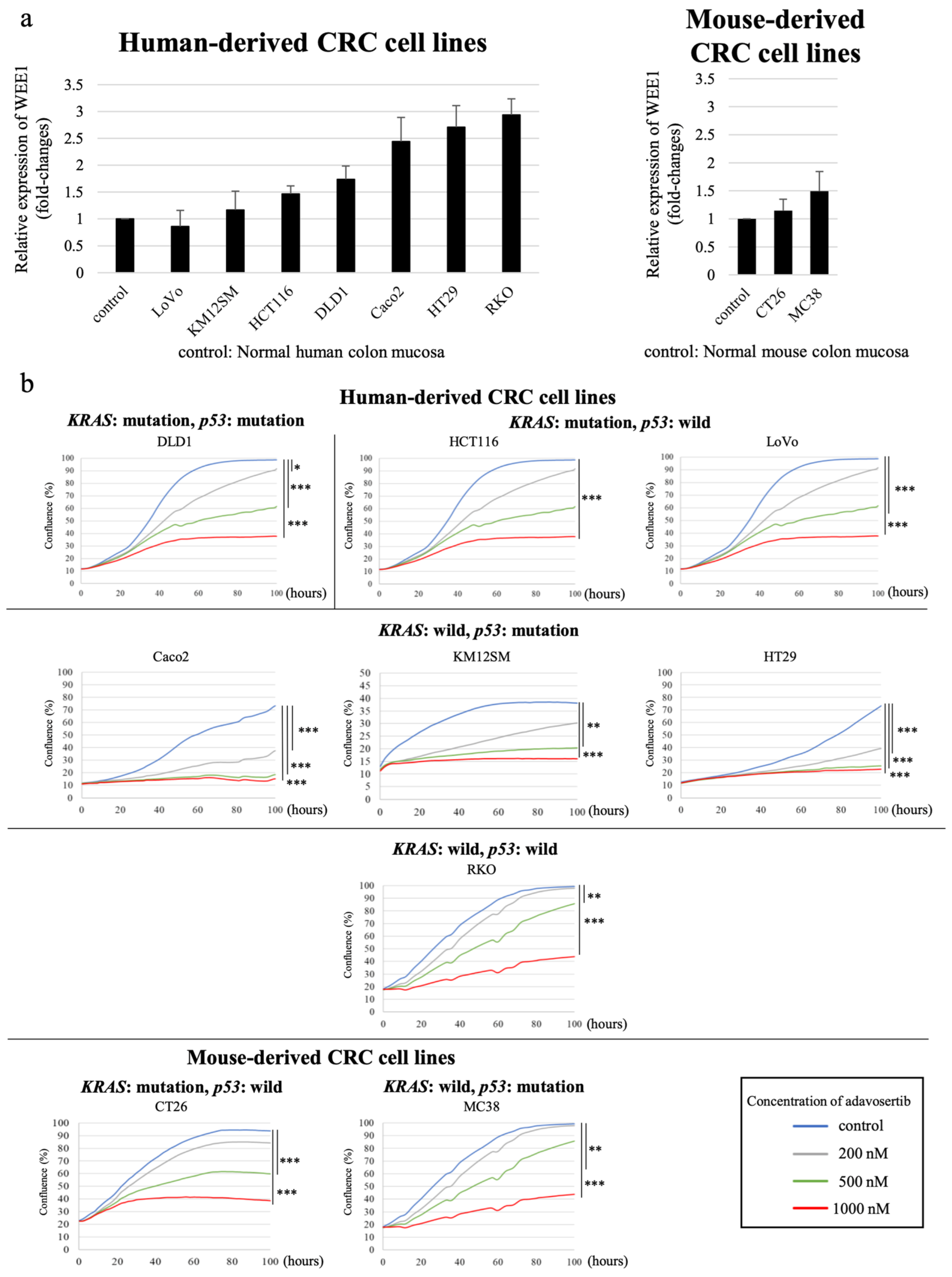 Cancers 16 03136 g002