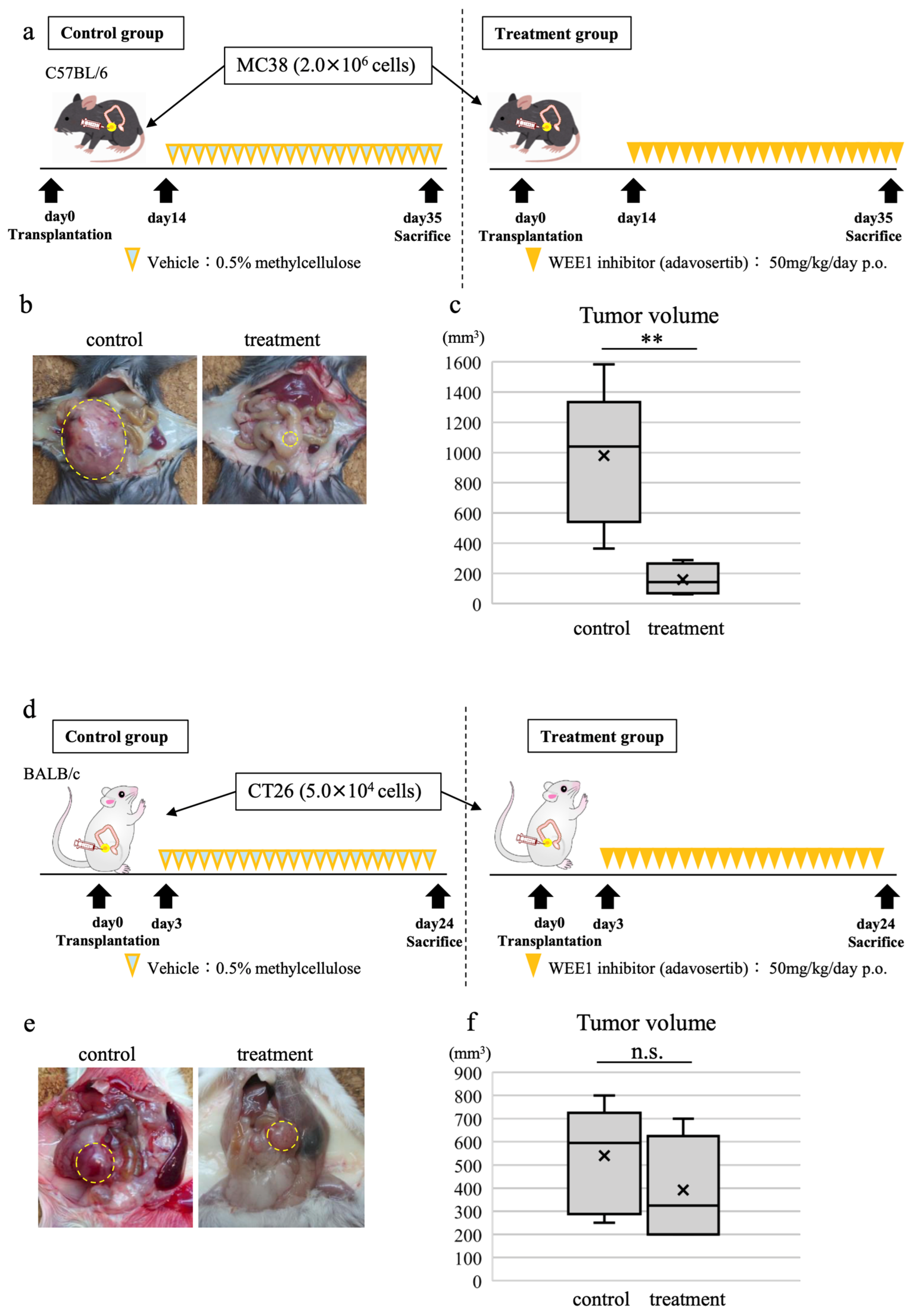 Cancers 16 03136 g004