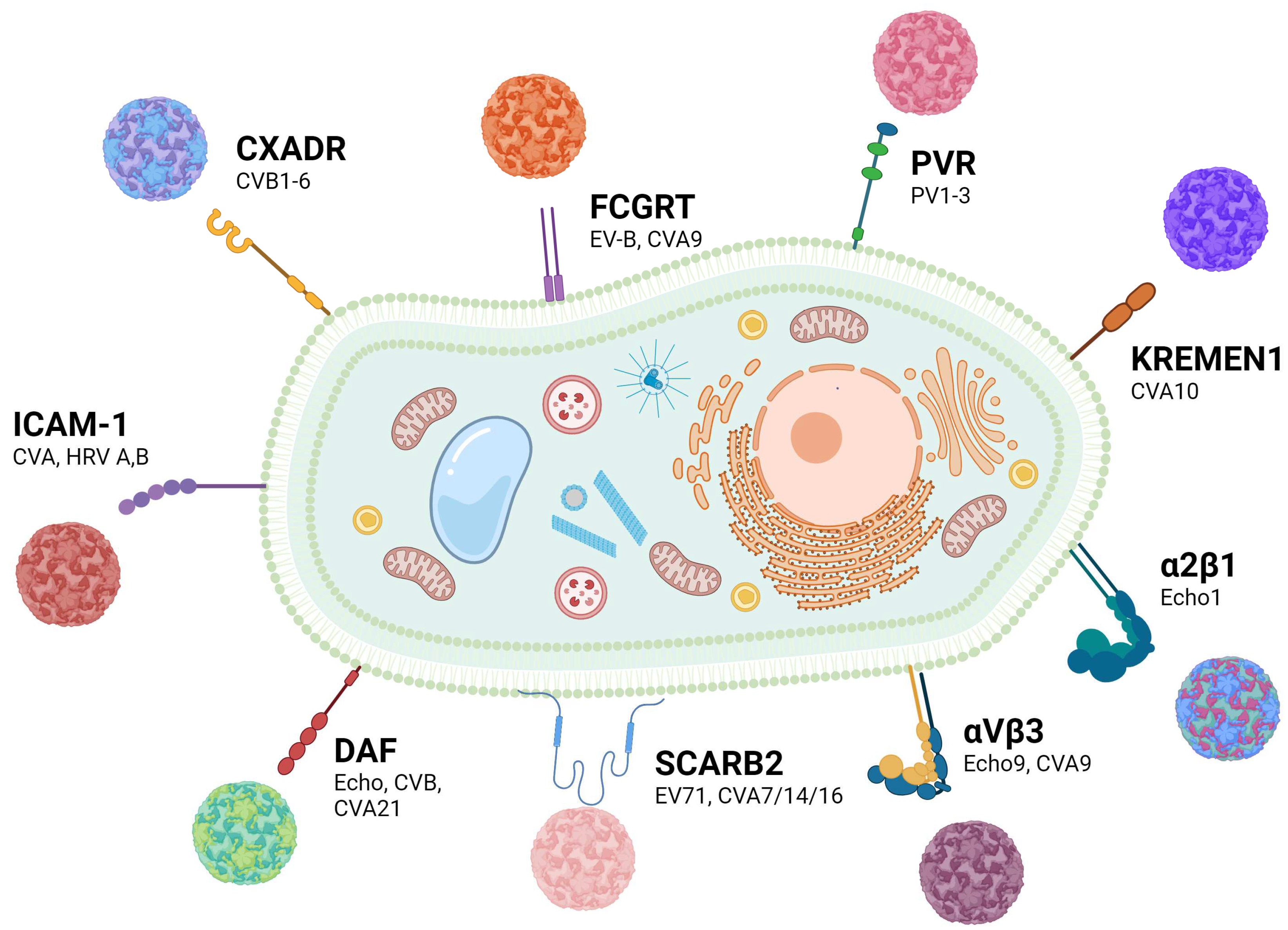 Cancers 16 03139 g001
