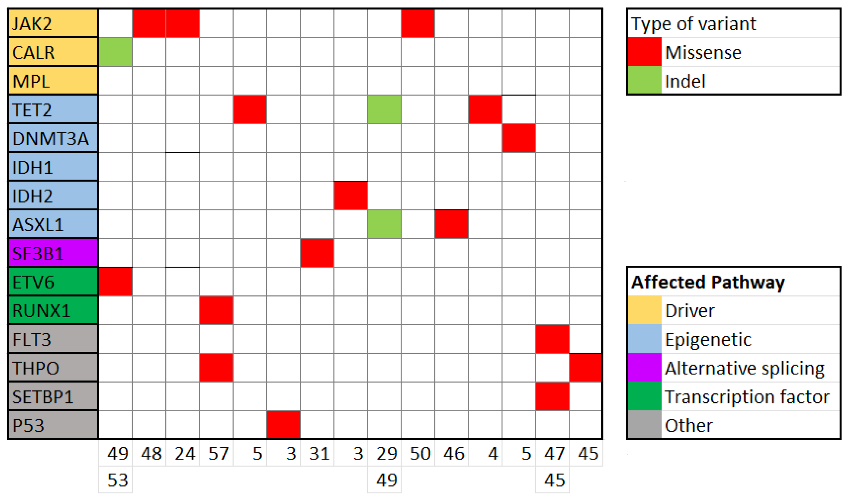 Cancers 16 03149 g002 Cancers 16 03149 g002