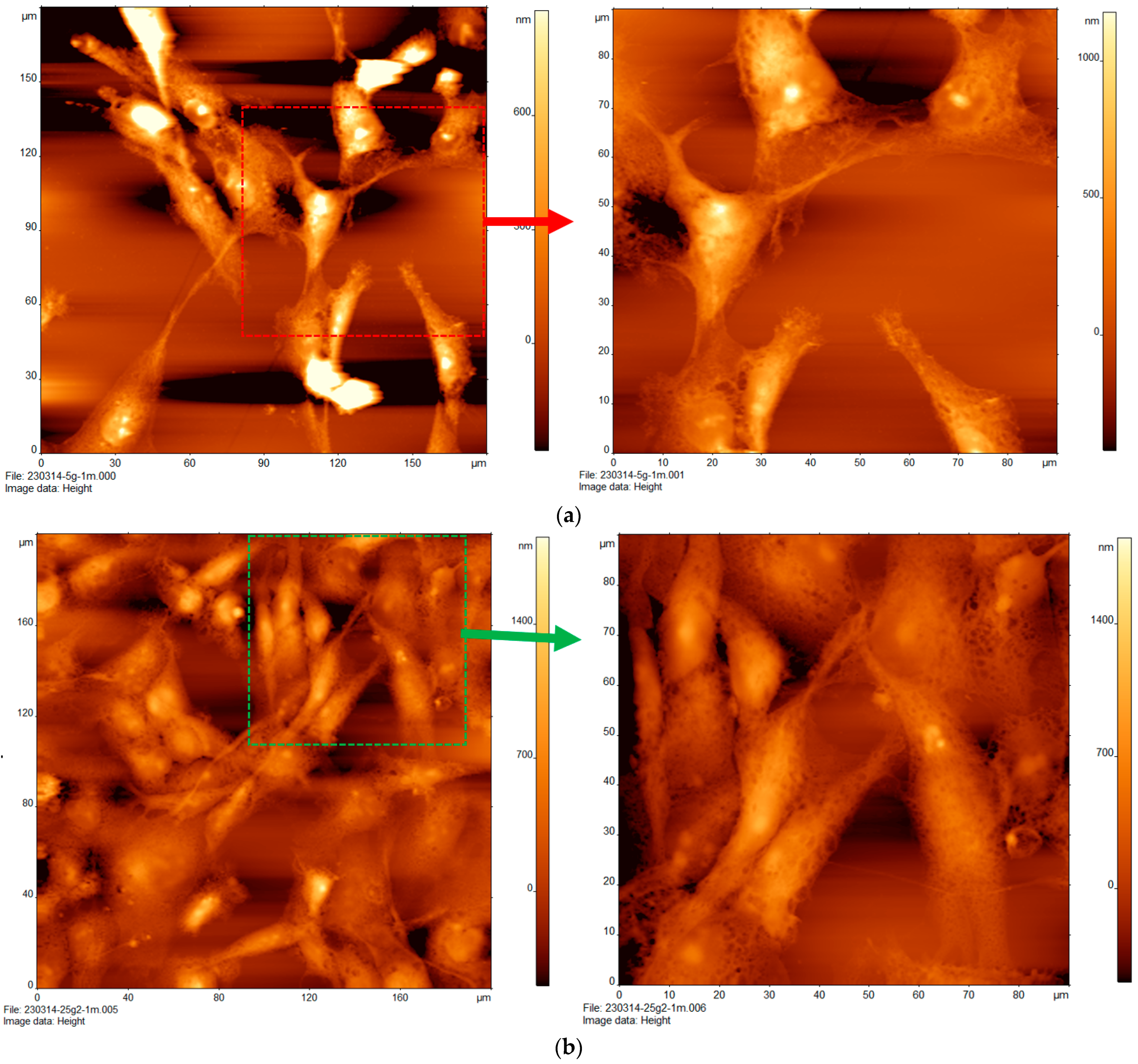 Cancers 16 03166 g001