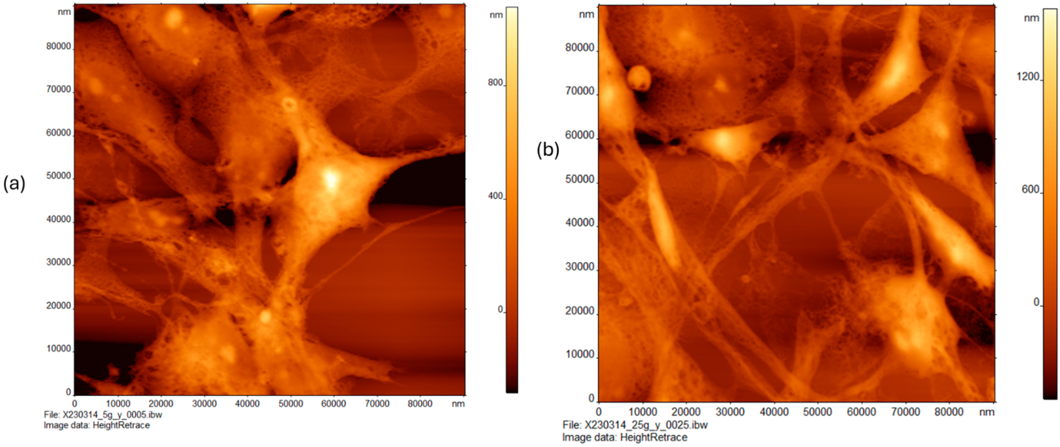 Cancers 16 03166 g002