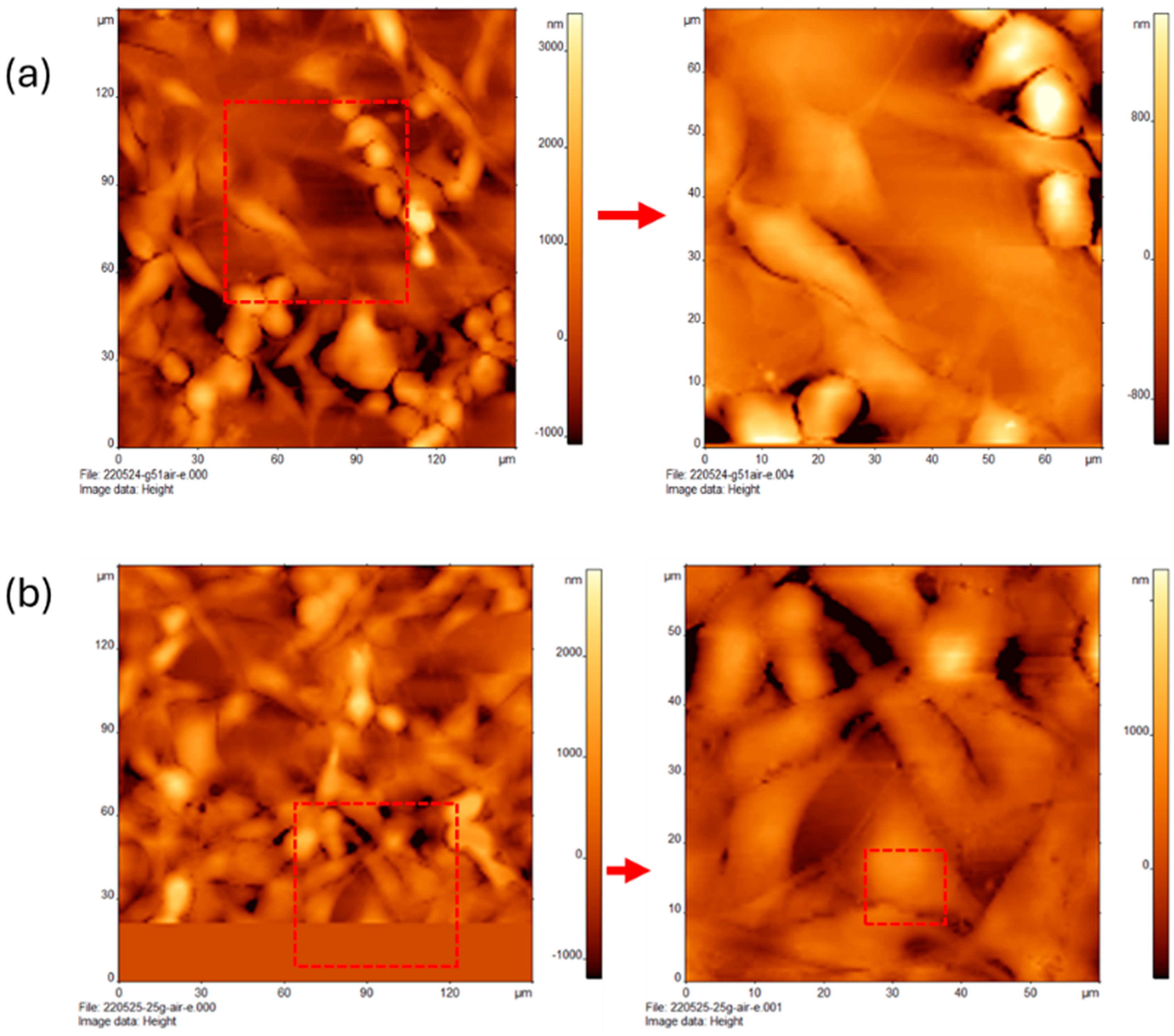 Cancers 16 03166 g004