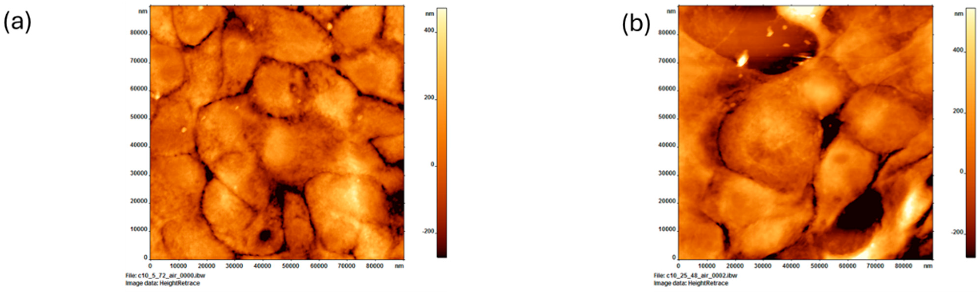 Cancers 16 03166 g006