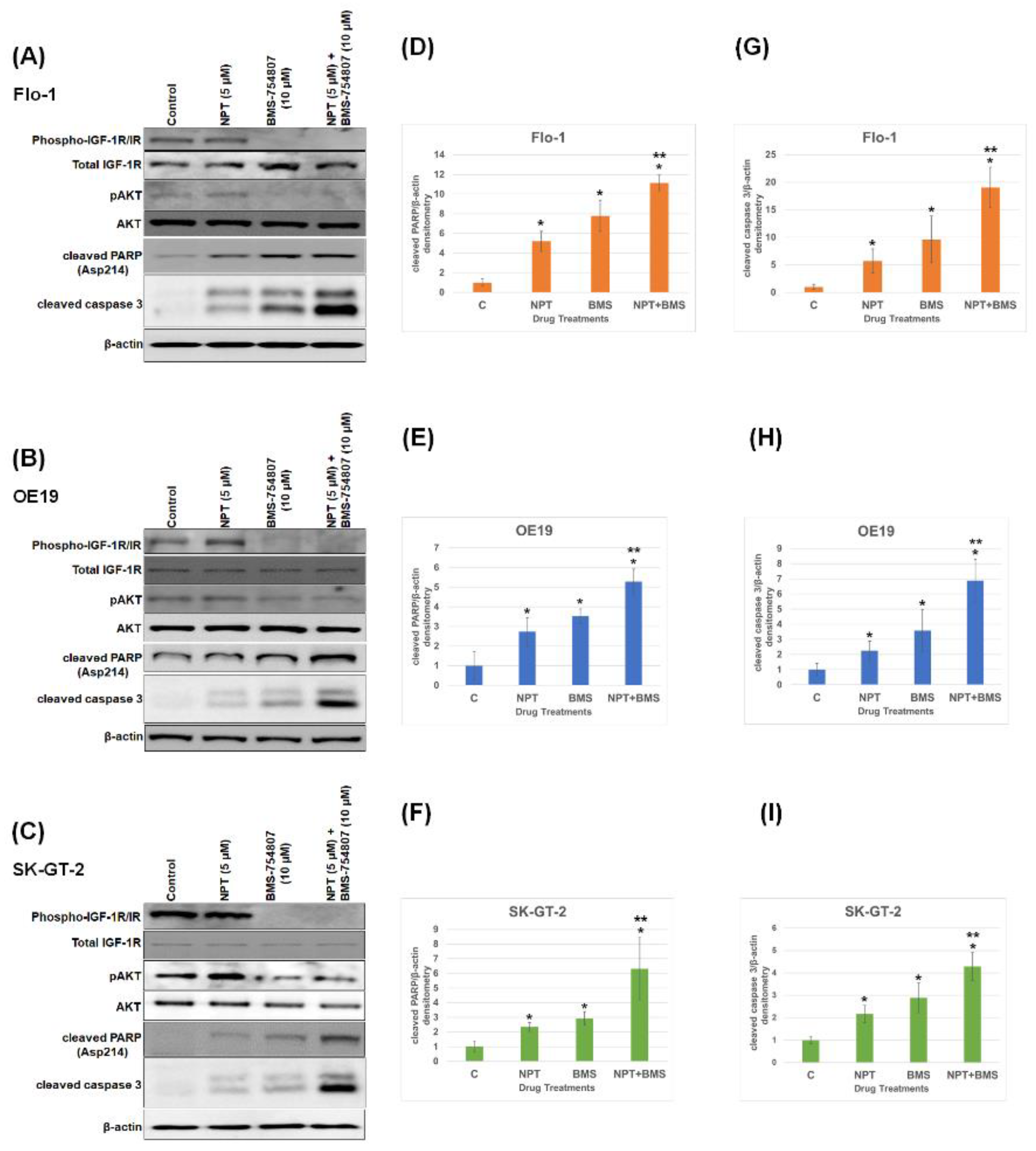 Cancers 16 03175 g003 Cancers 16 03175 g003