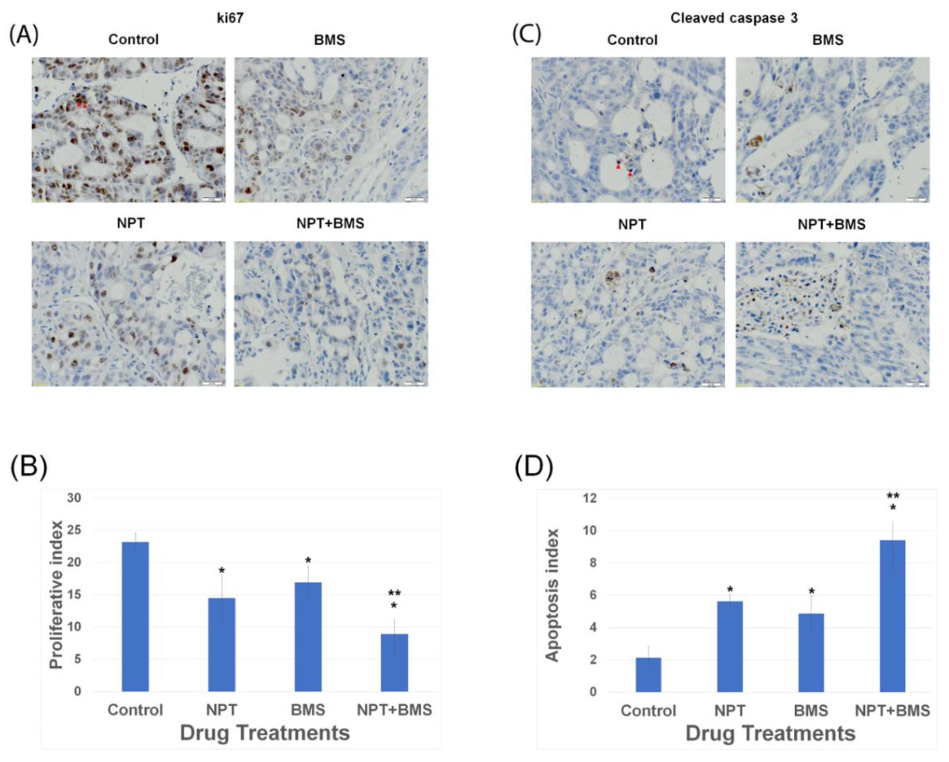 Cancers 16 03175 g006 Cancers 16 03175 g006