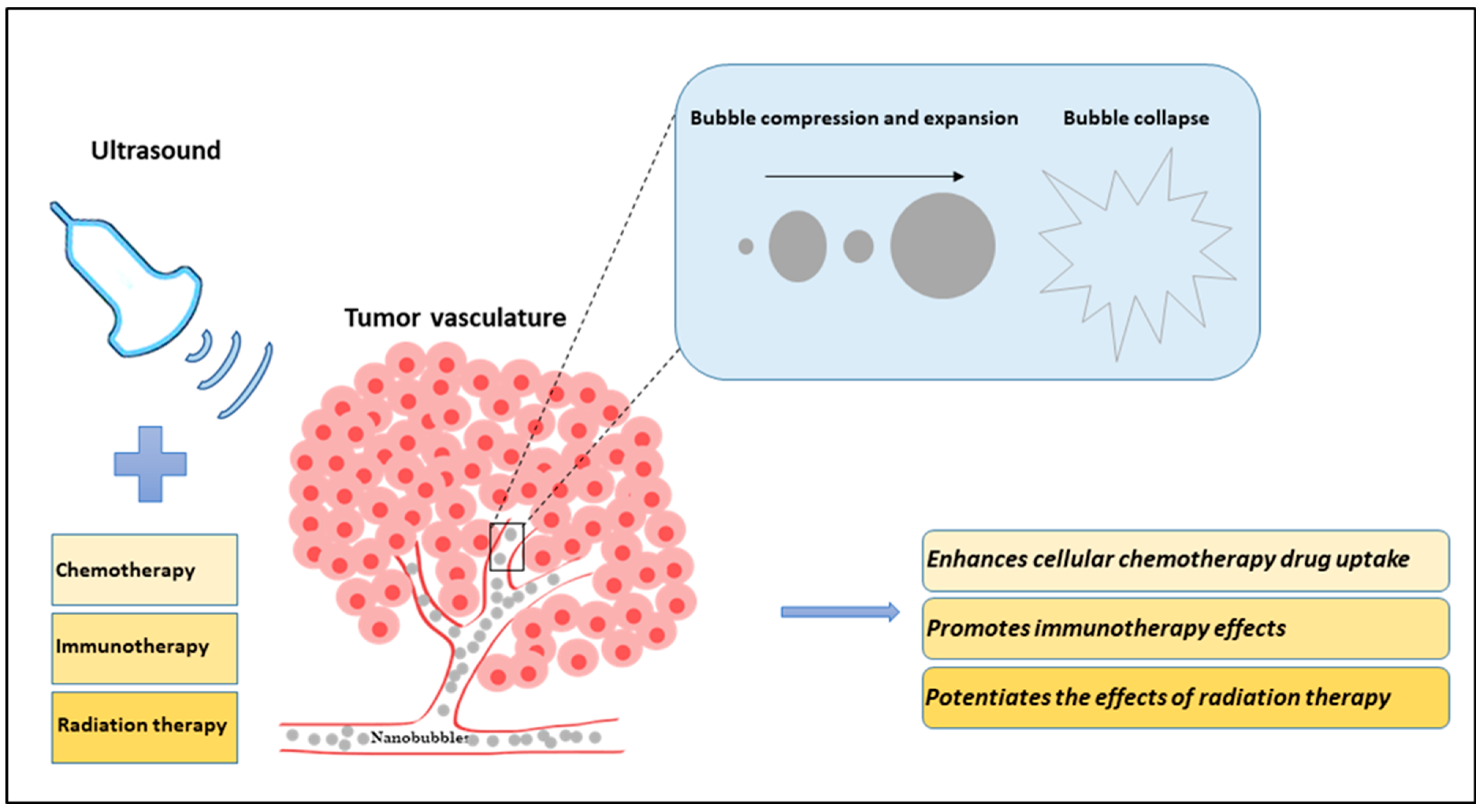 Cancers 16 03181 g001