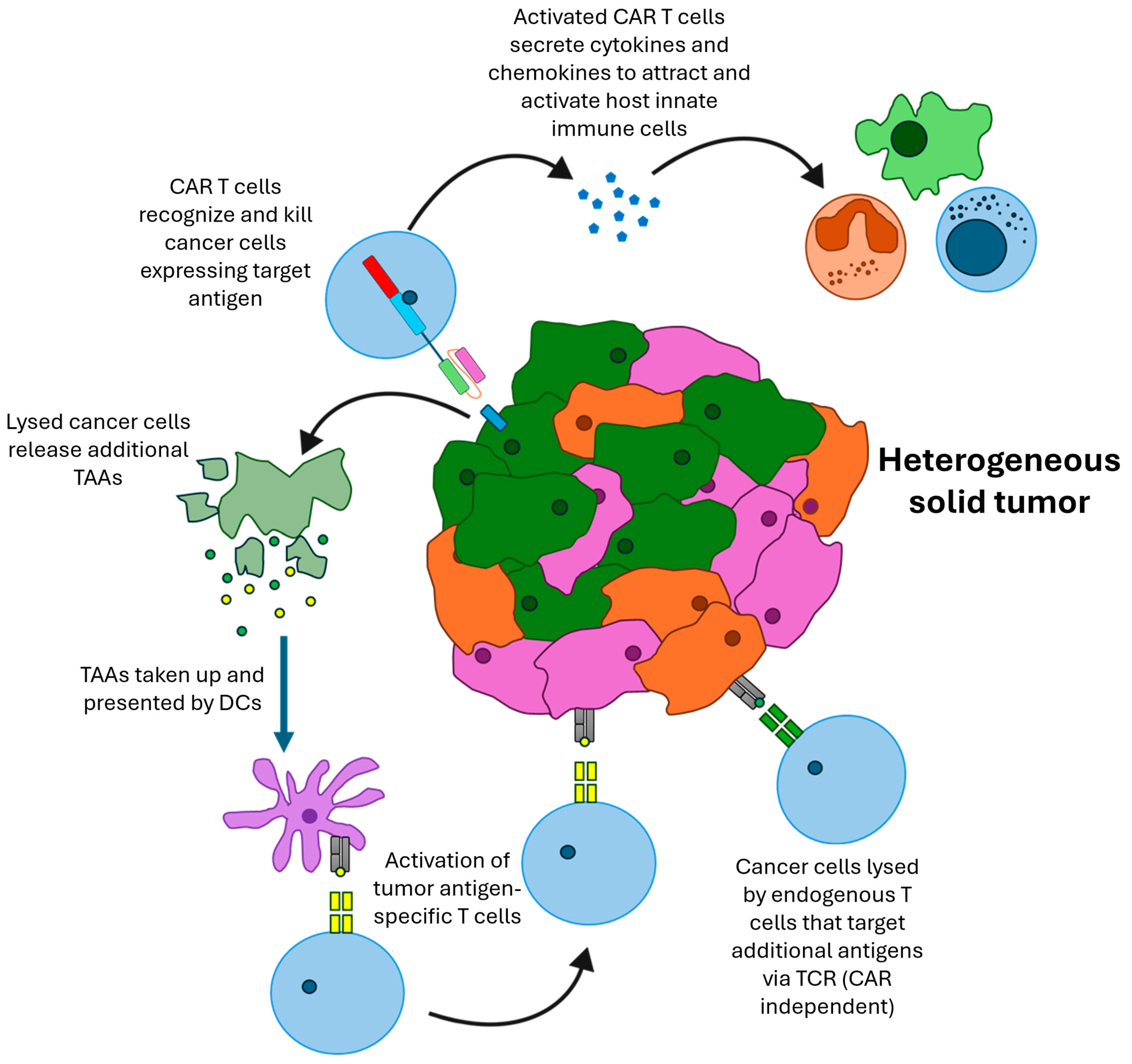 Cancers 16 03186 g001