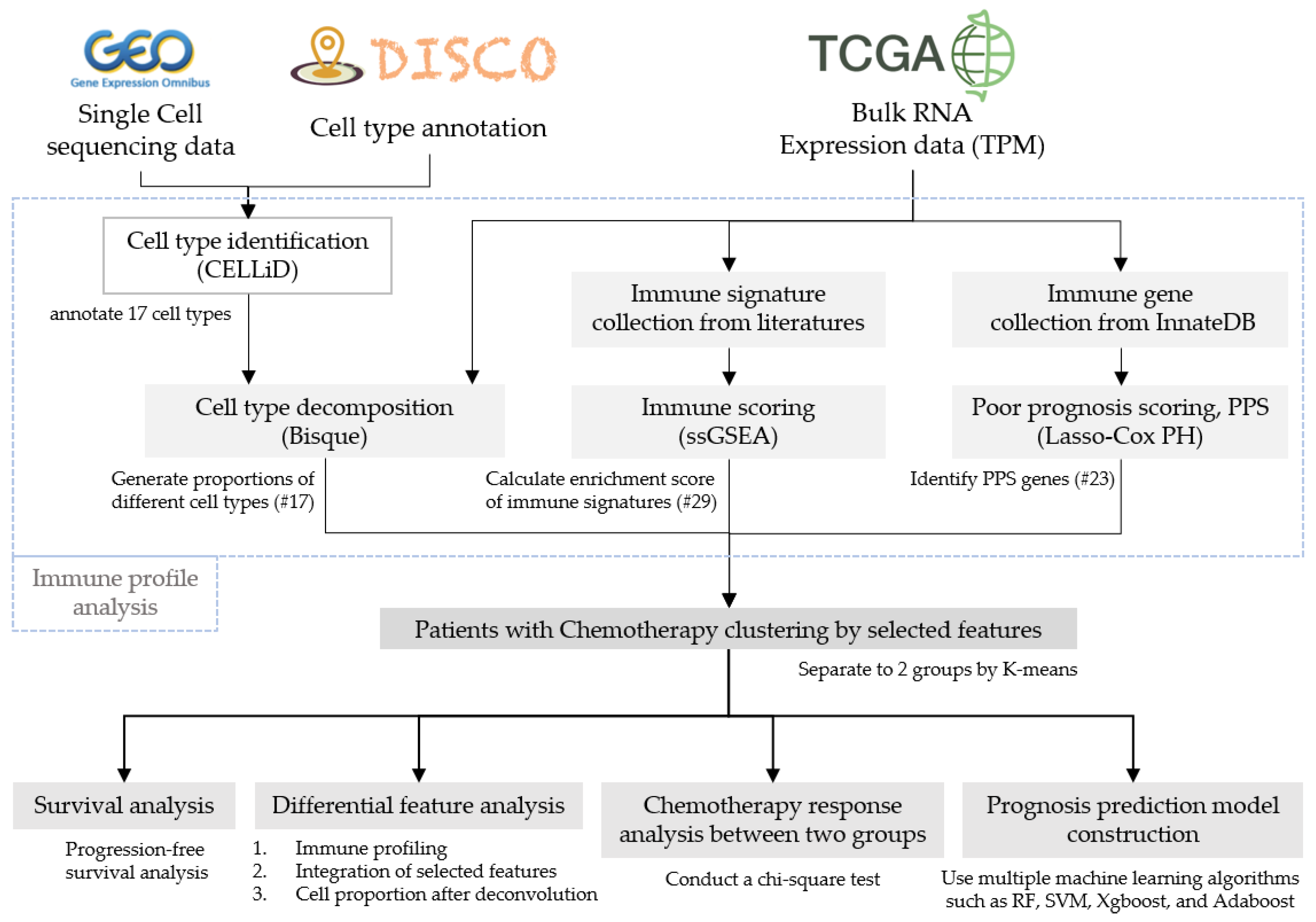 Cancers 16 03207 g001