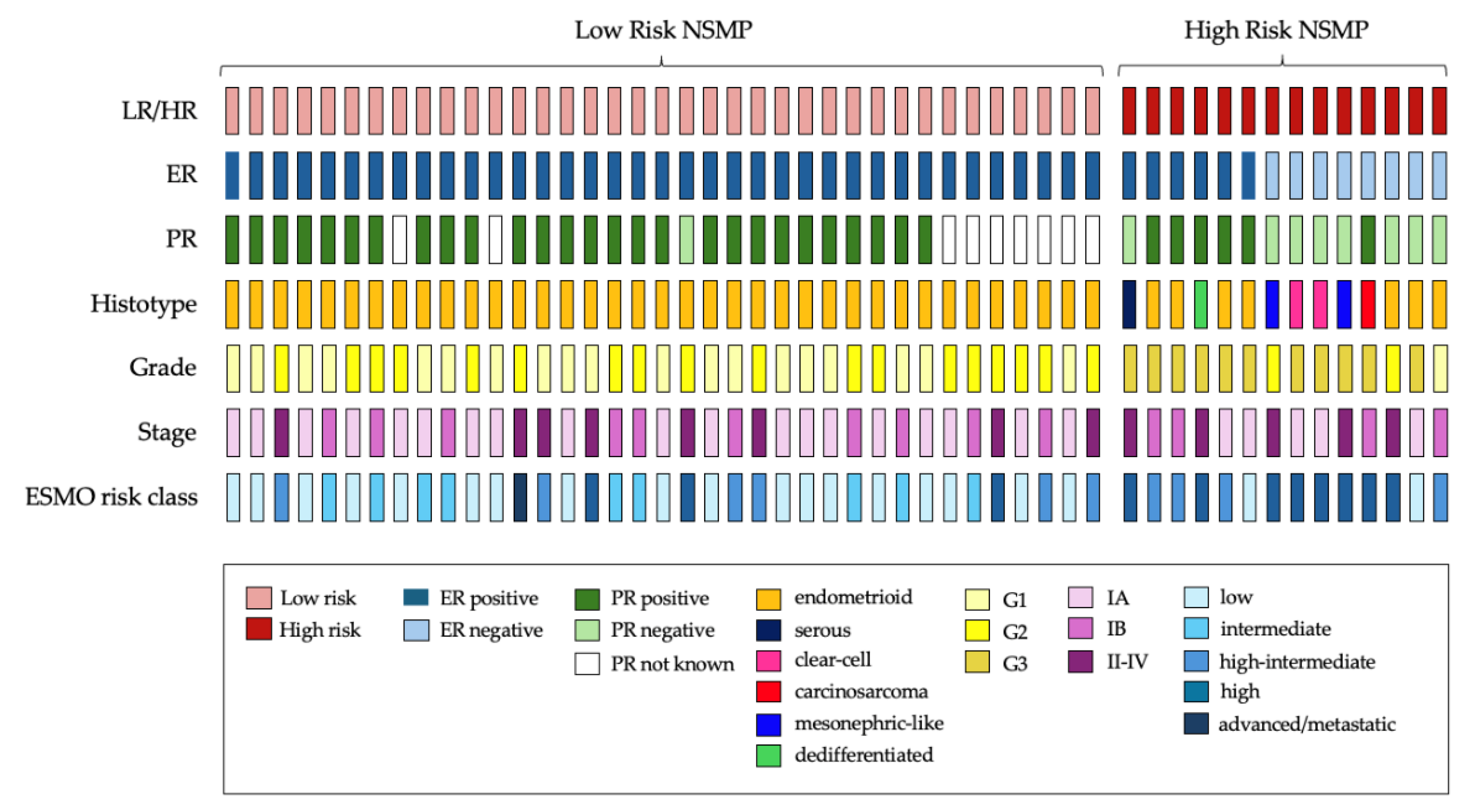 Cancers 16 03221 g002