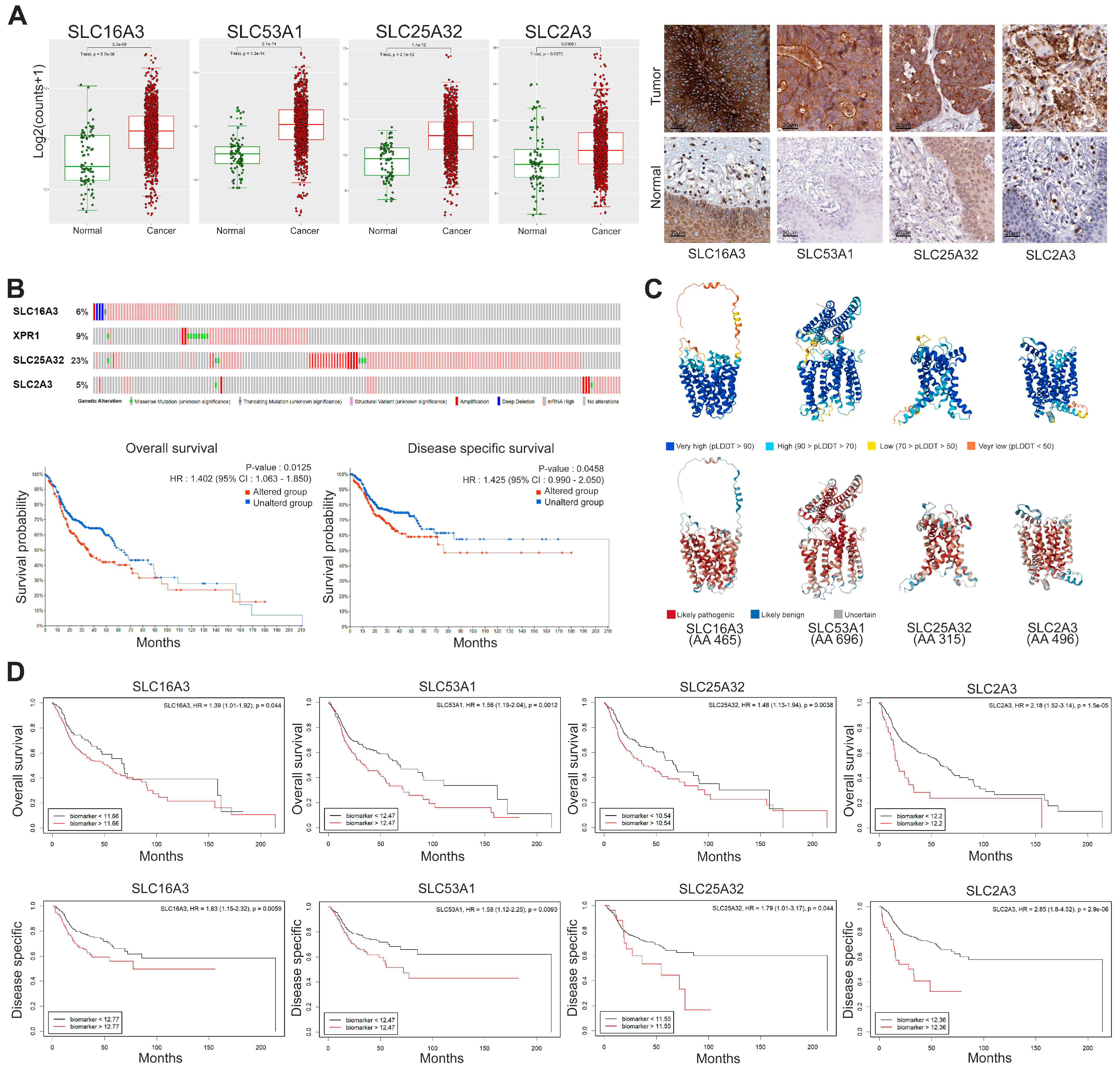 Cancers 16 03226 g004