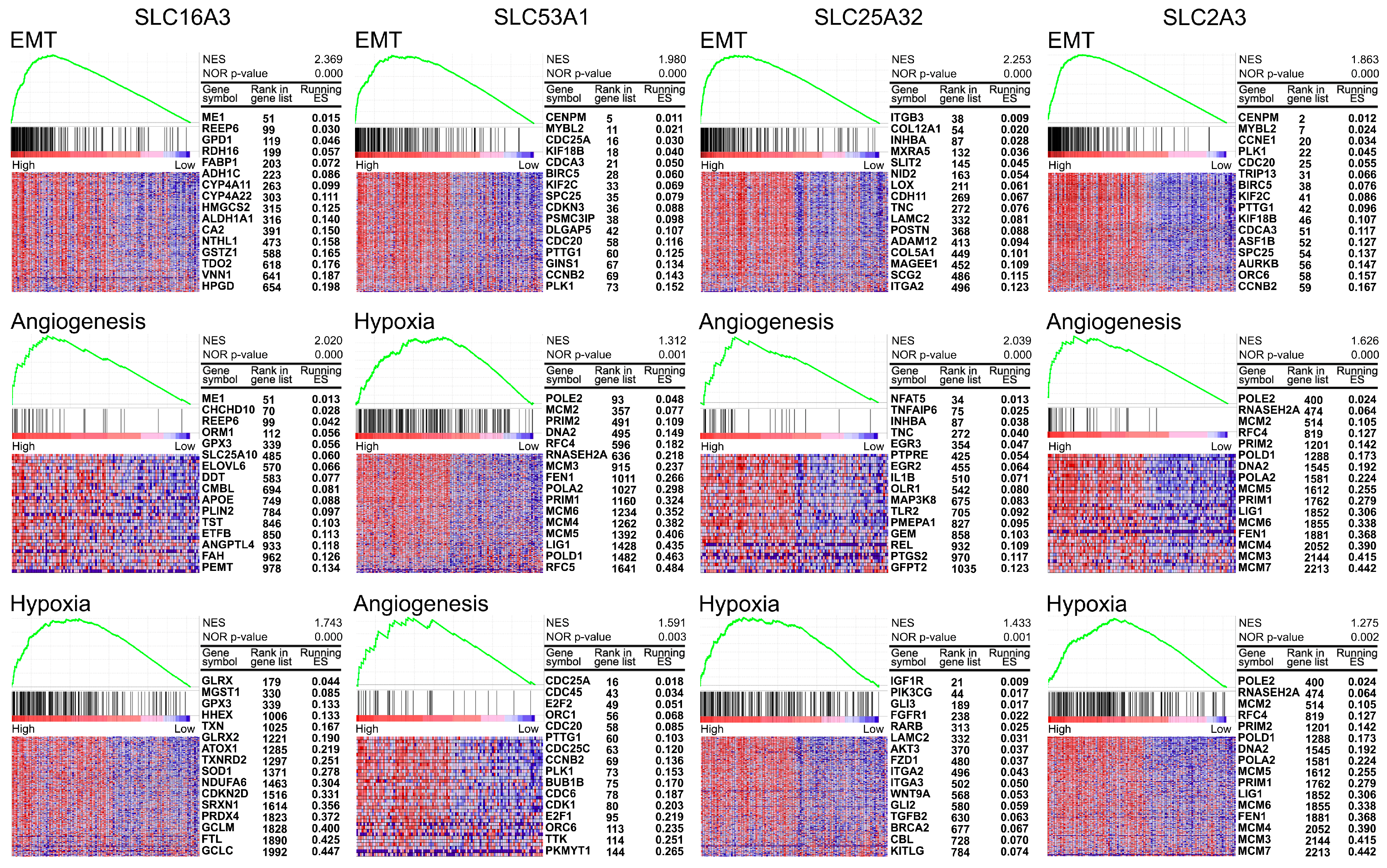 Cancers 16 03226 g005