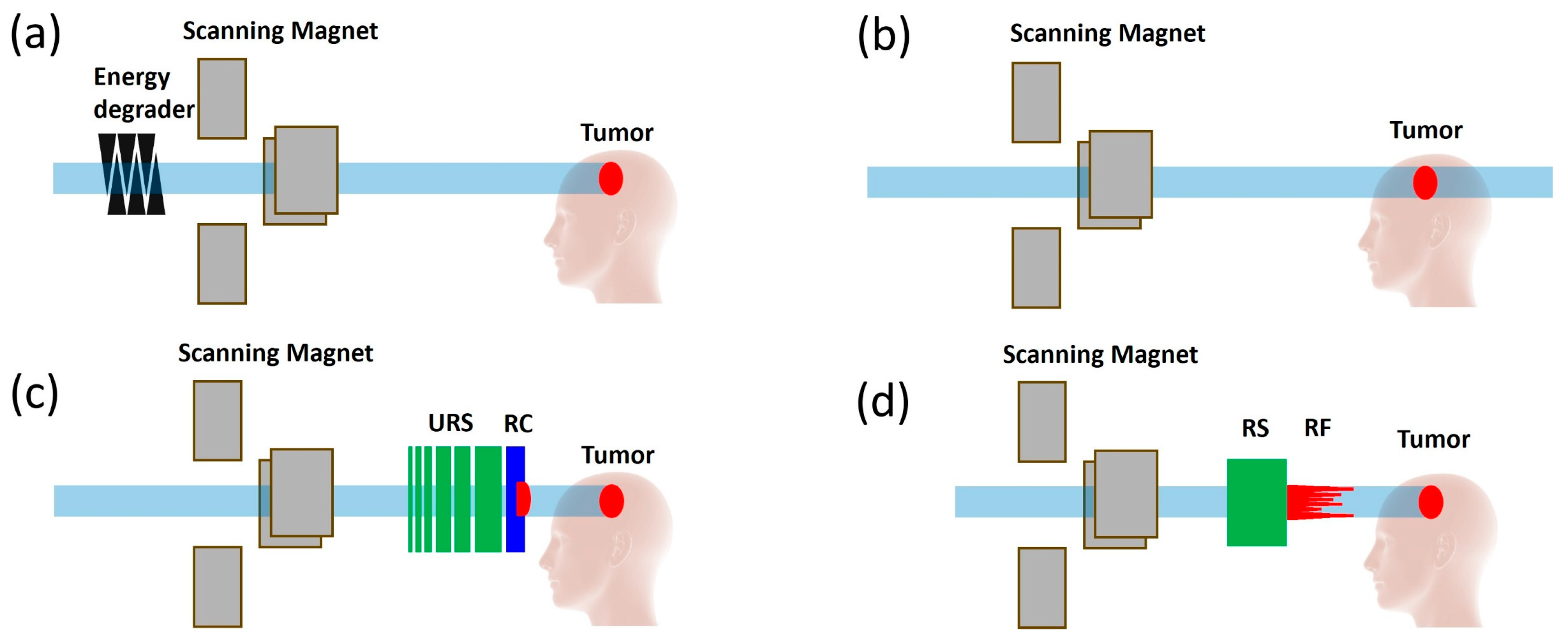 Cancers 16 03249 g001