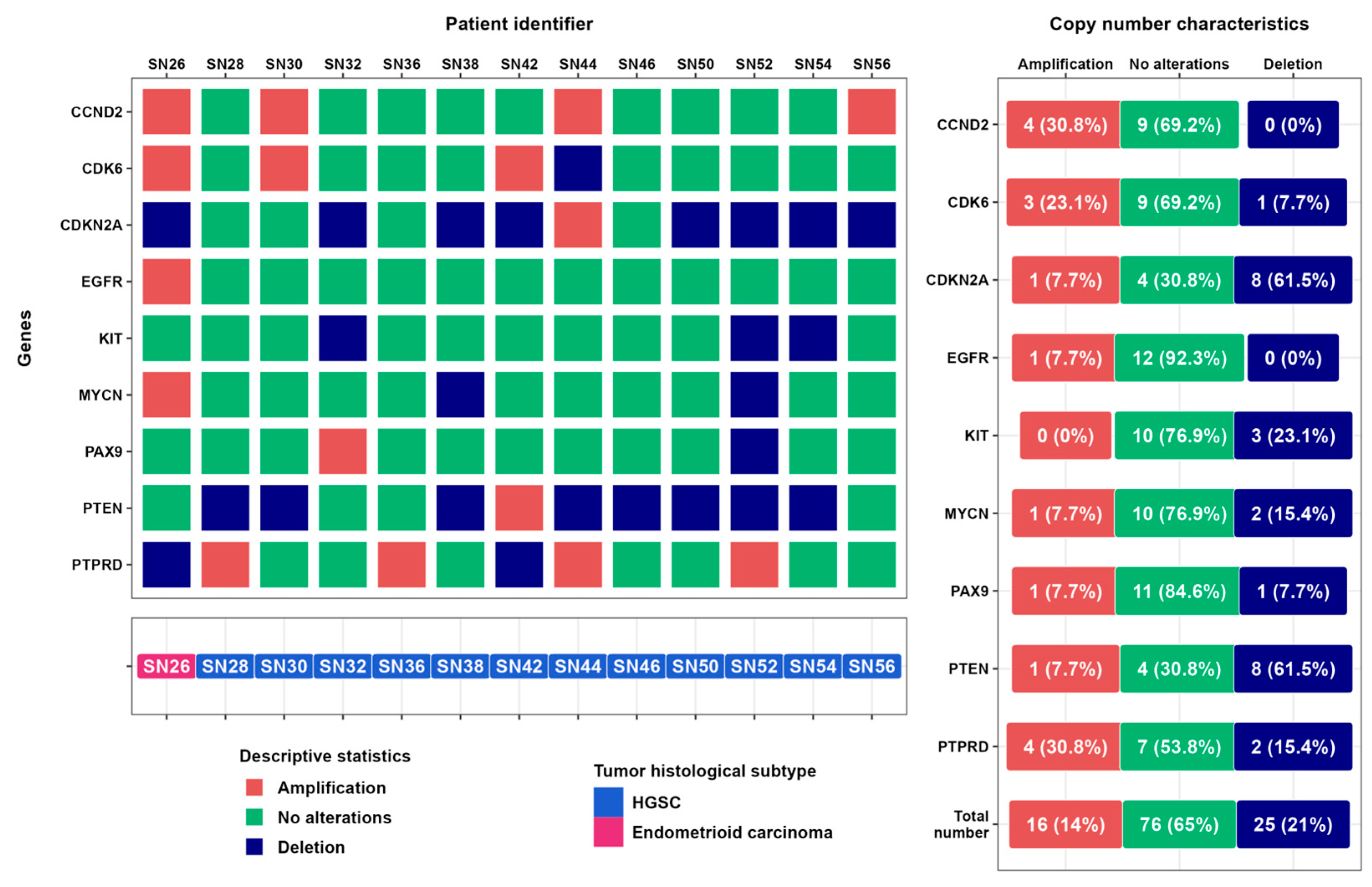 Cancers 16 03252 g004