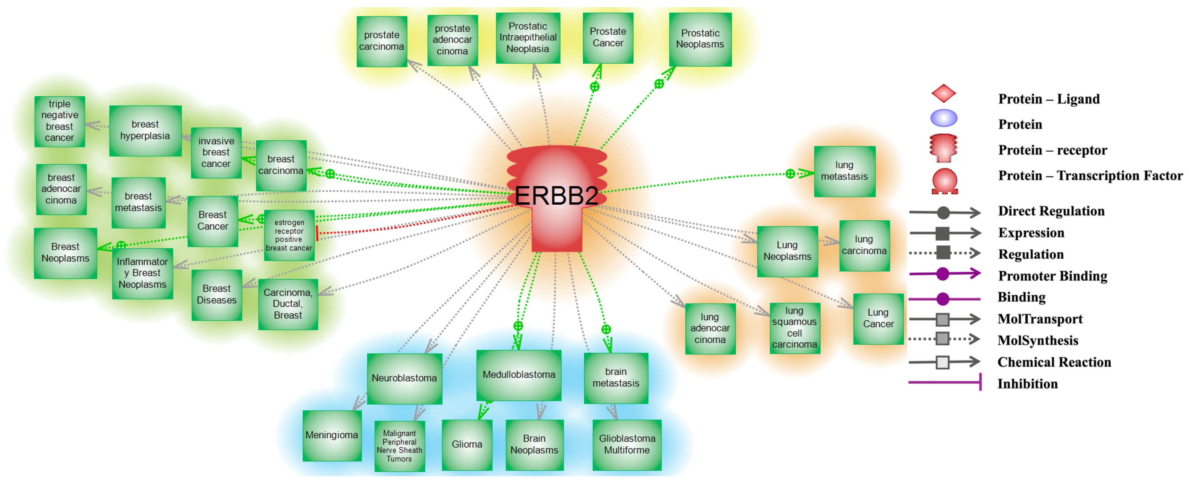 Cancers 16 03262 g001