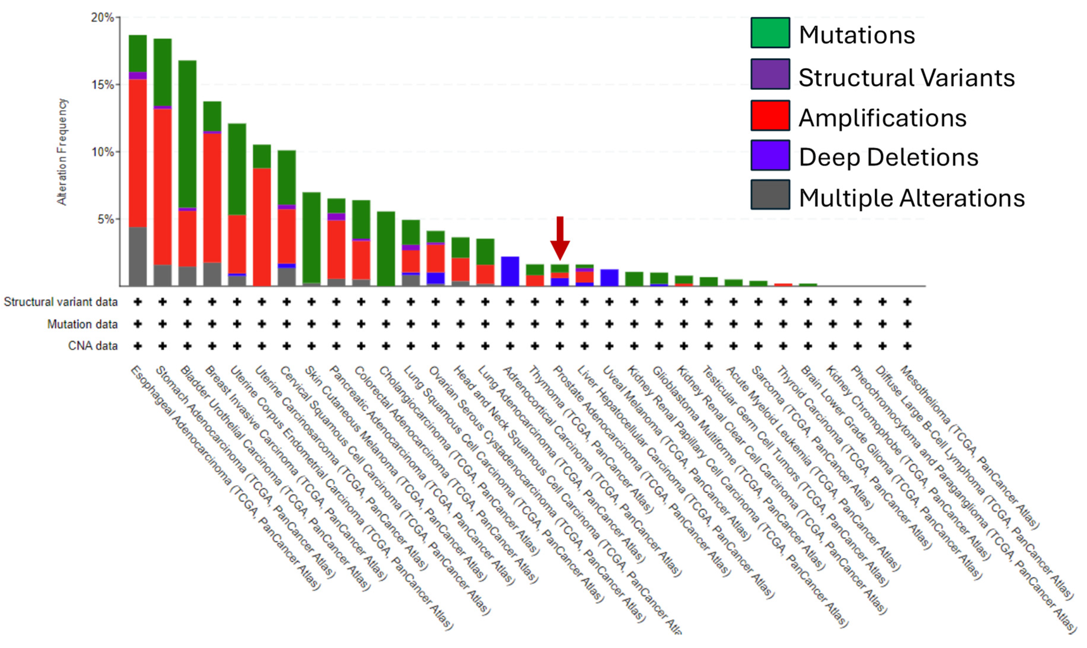 Cancers 16 03262 g002