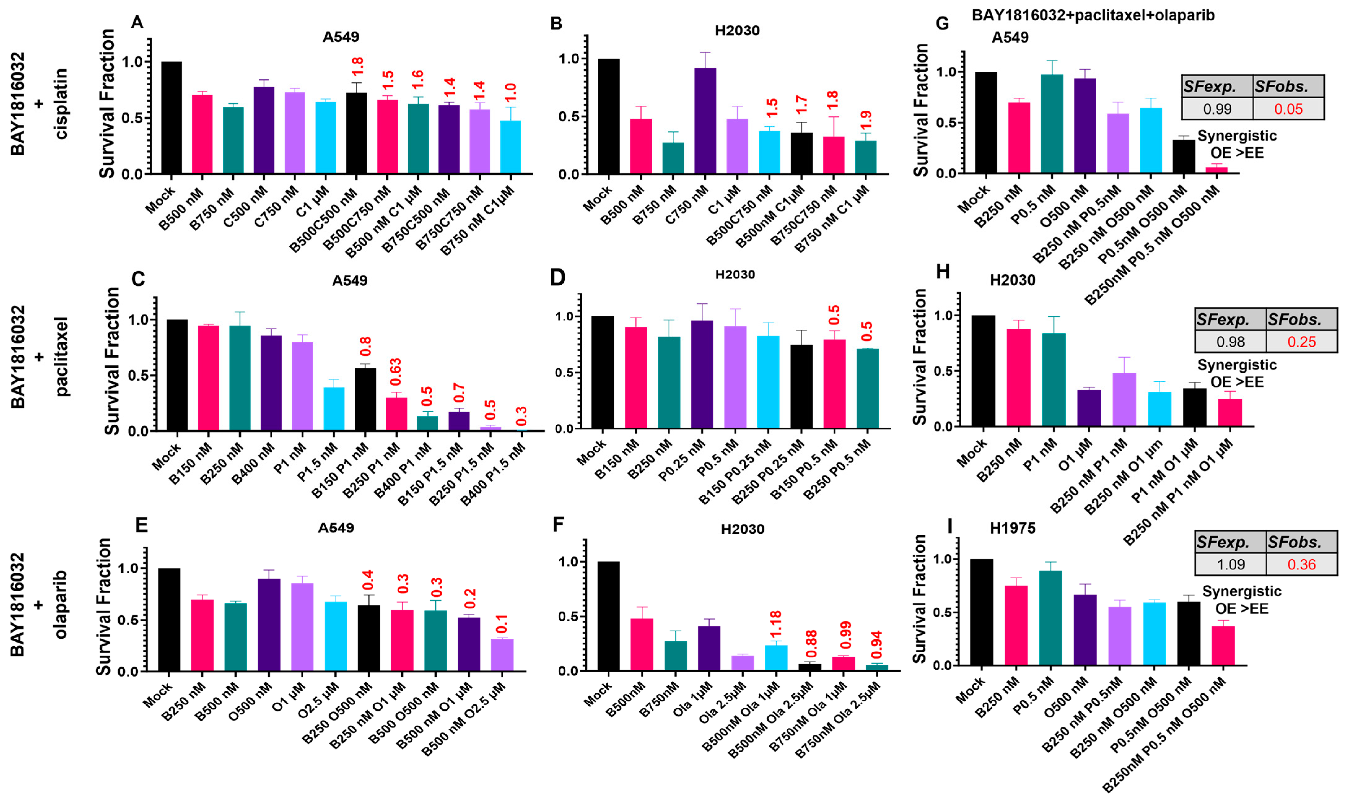 Cancers 16 03291 g005