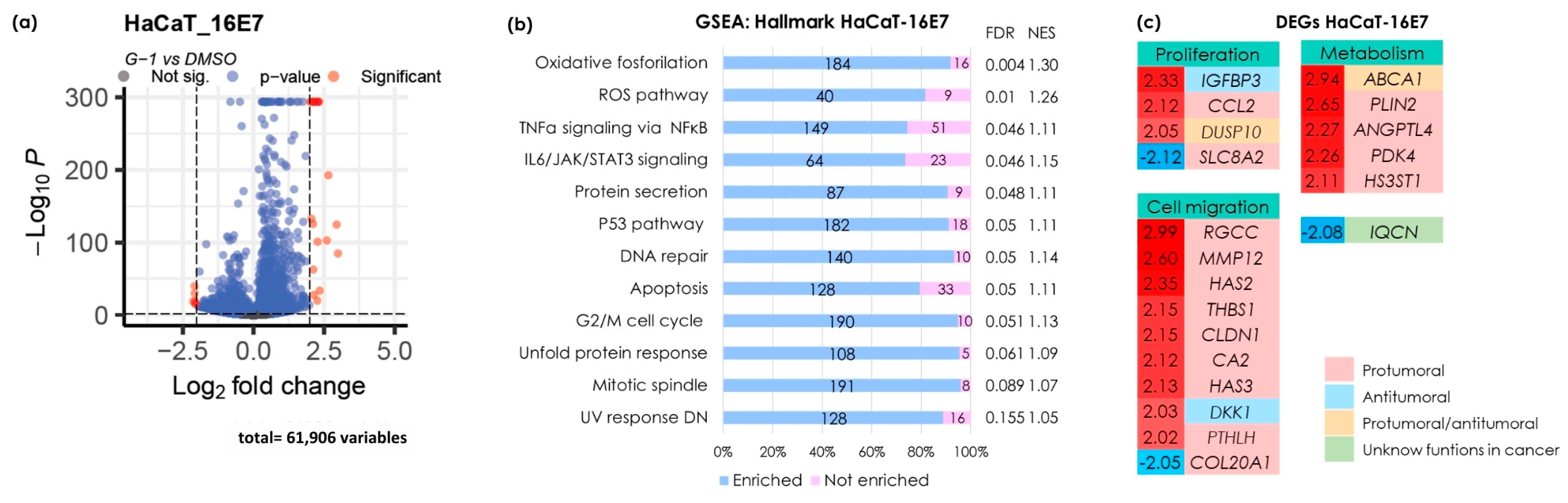 Cancers 16 03292 g004 Cancers 16 03292 g004