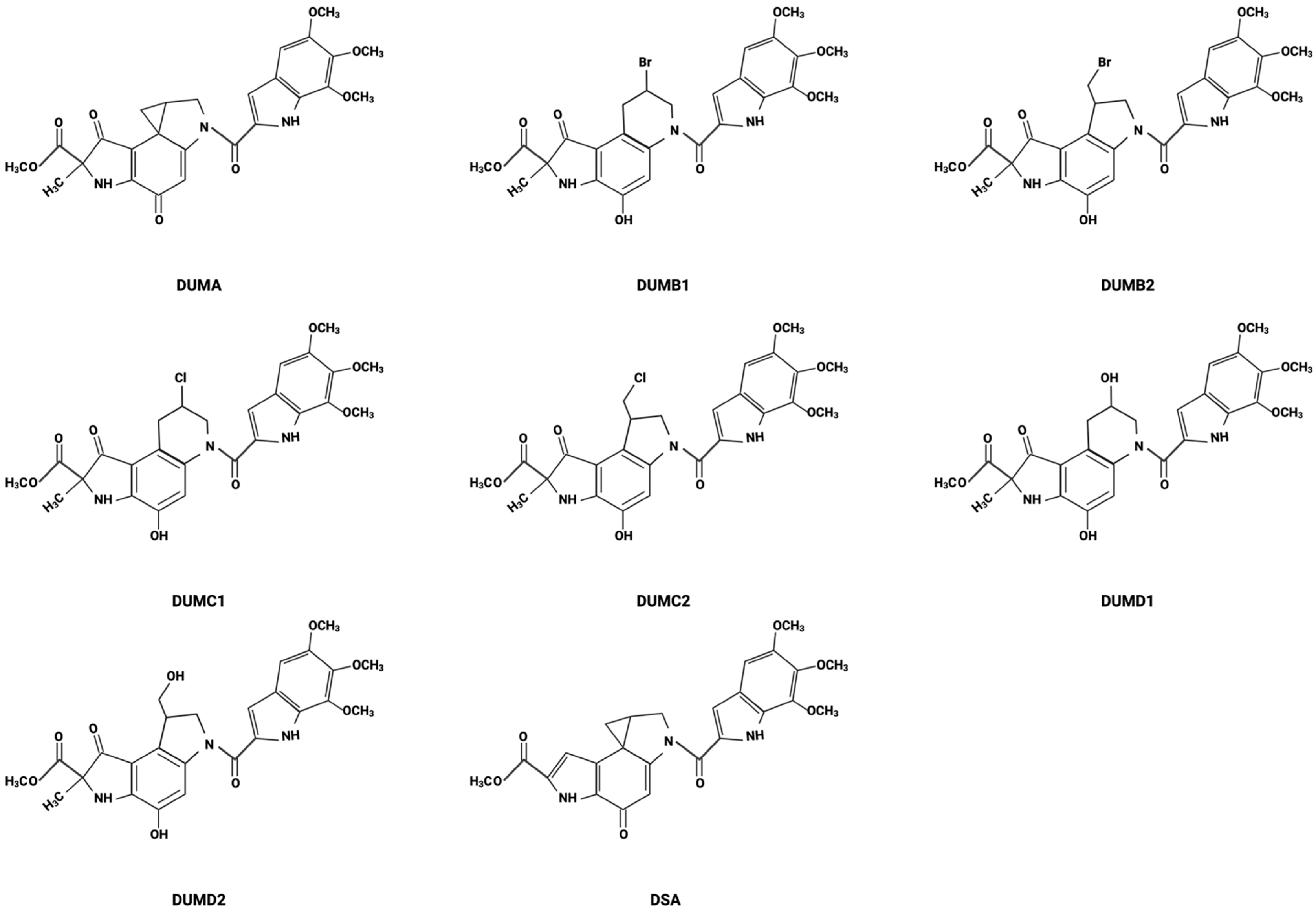 Cancers 16 03293 g001 Cancers 16 03293 g001