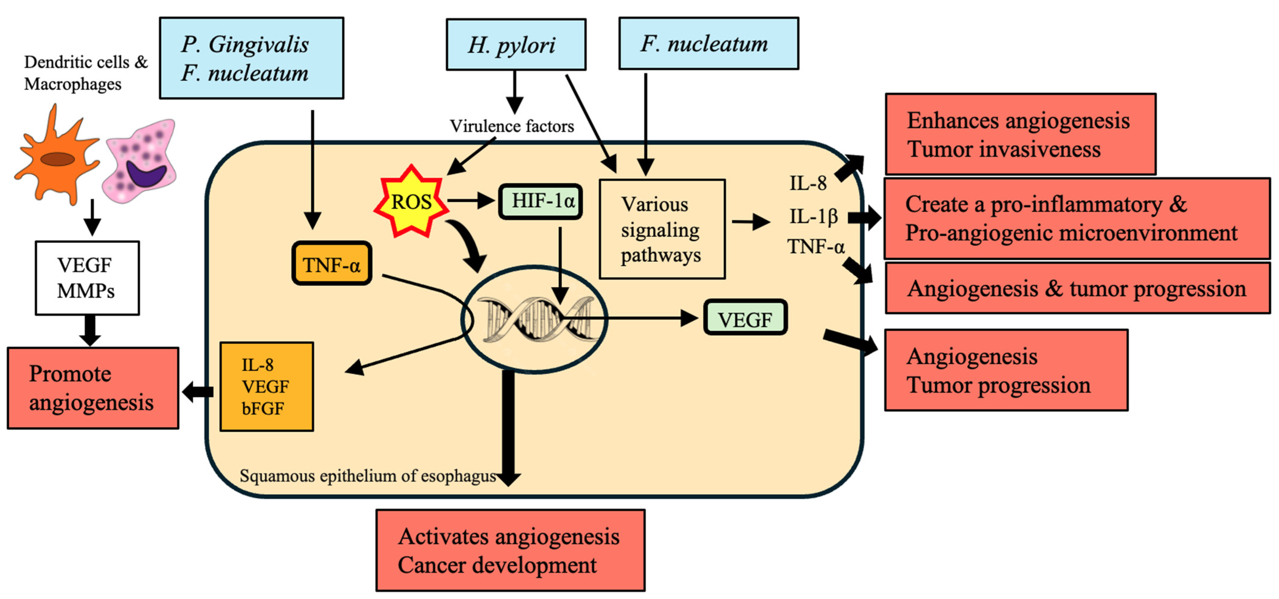 Cancers 16 03305 g005