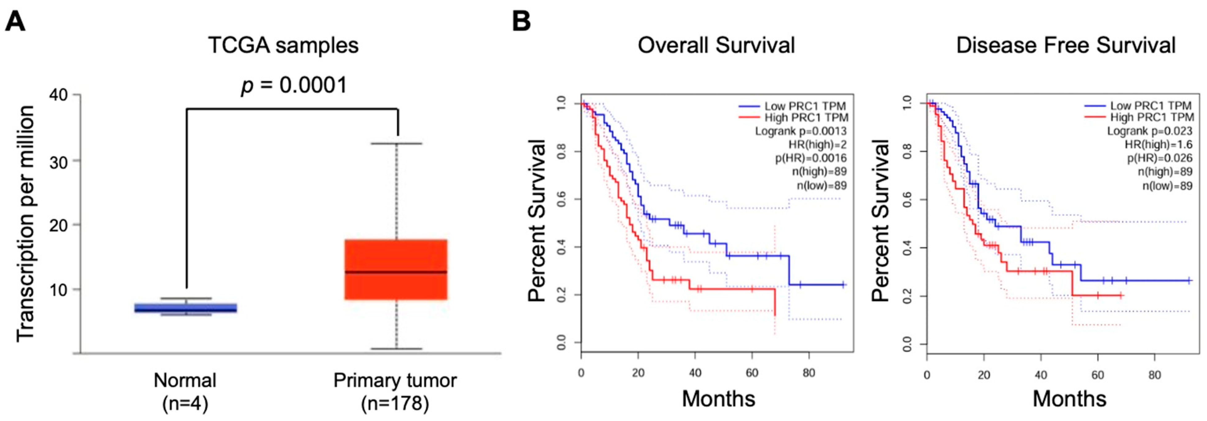 Cancers 16 03310 g001
