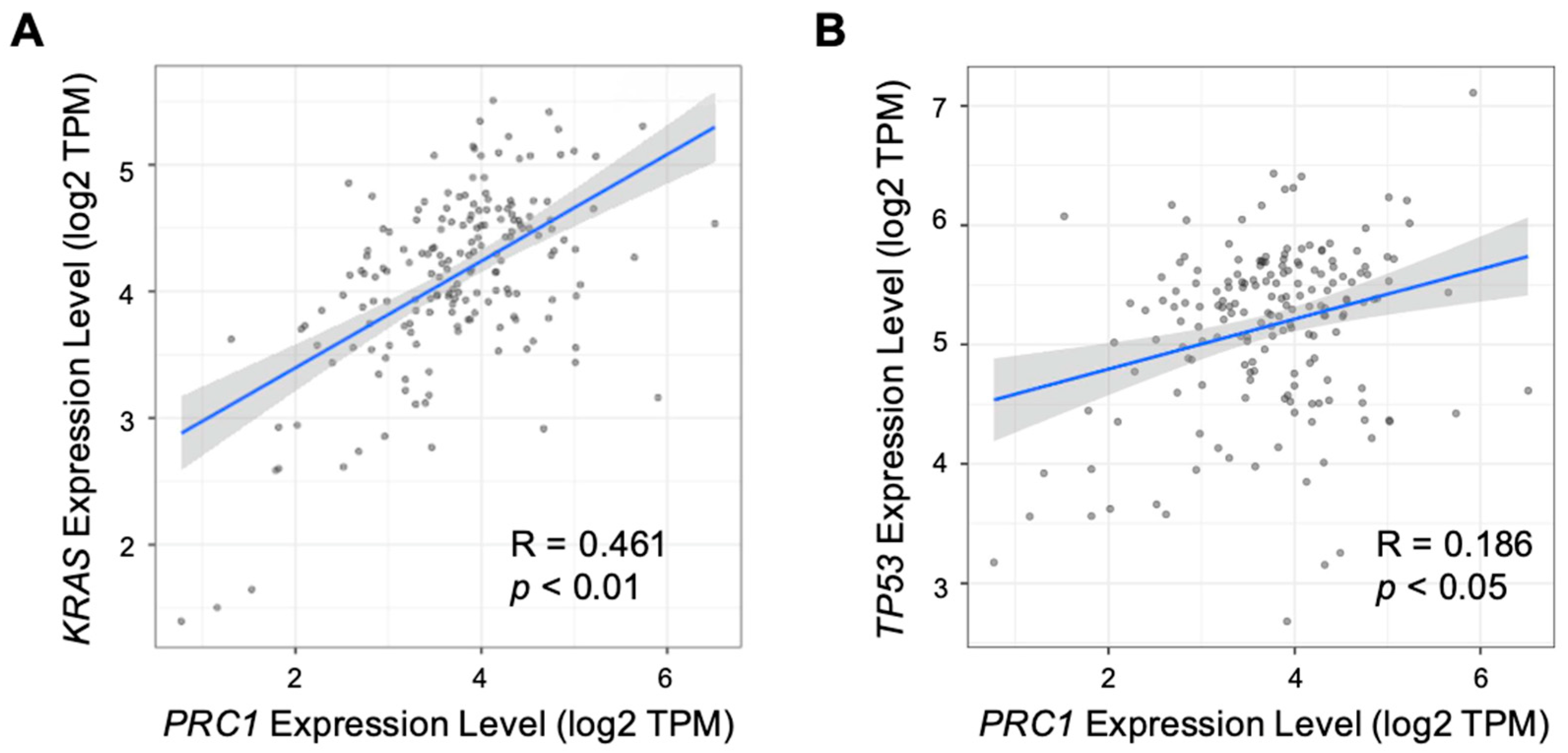 Cancers 16 03310 g004