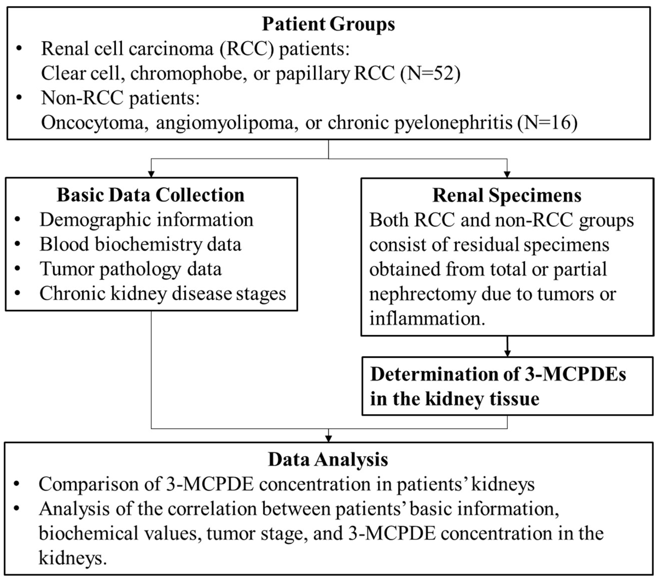Cancers 16 03313 g001