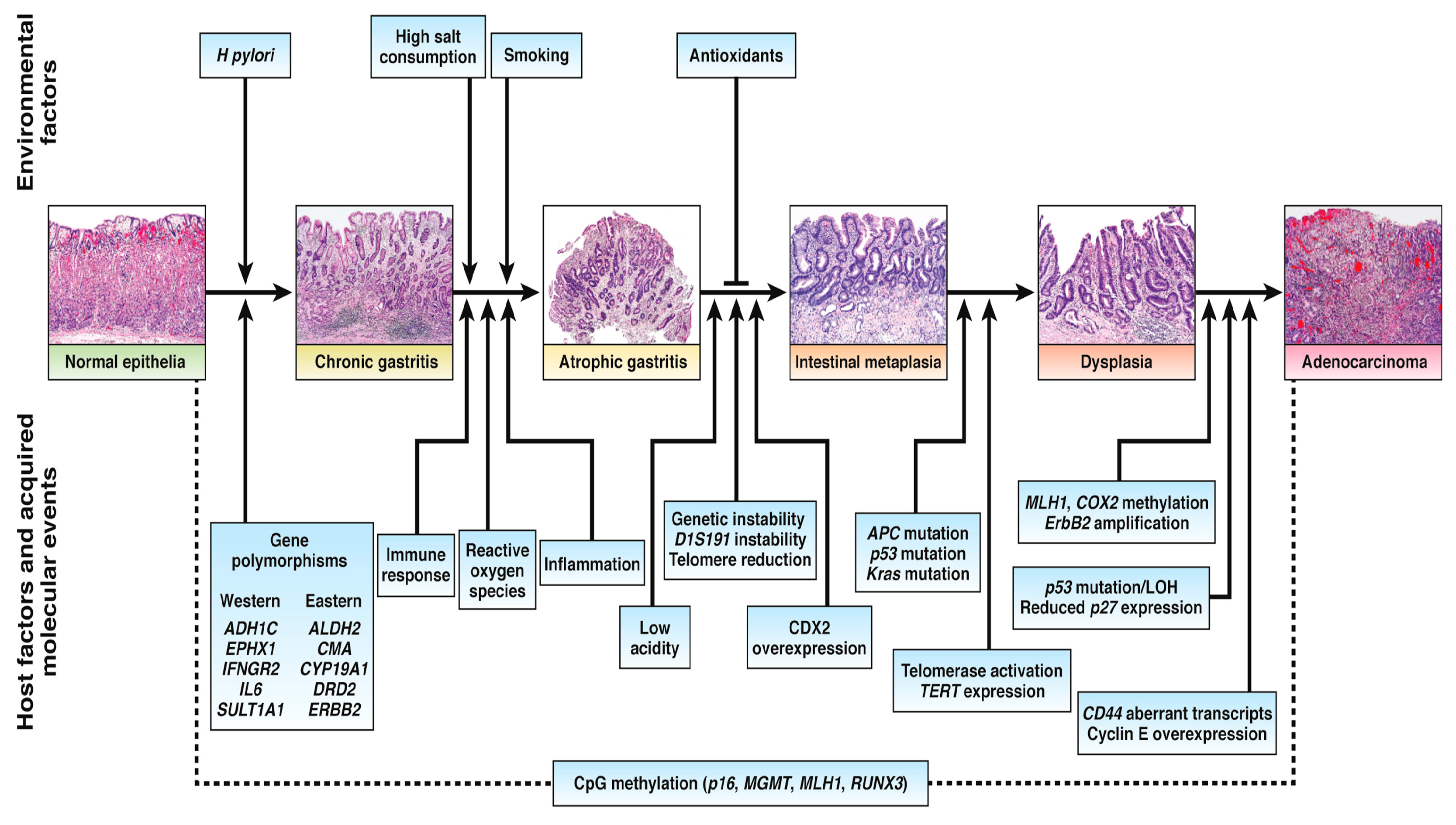 Cancers 16 03323 g001