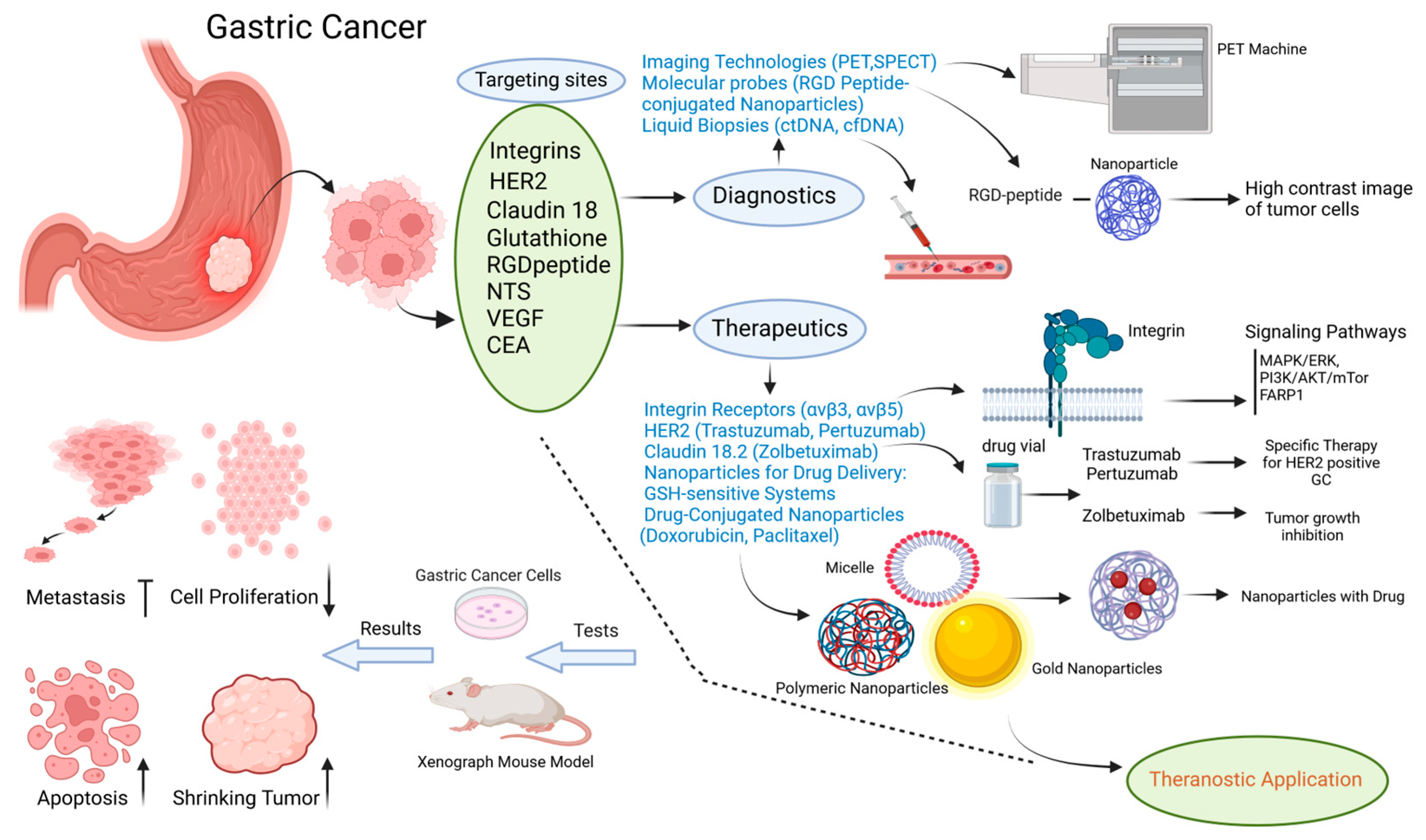 Cancers 16 03323 g002