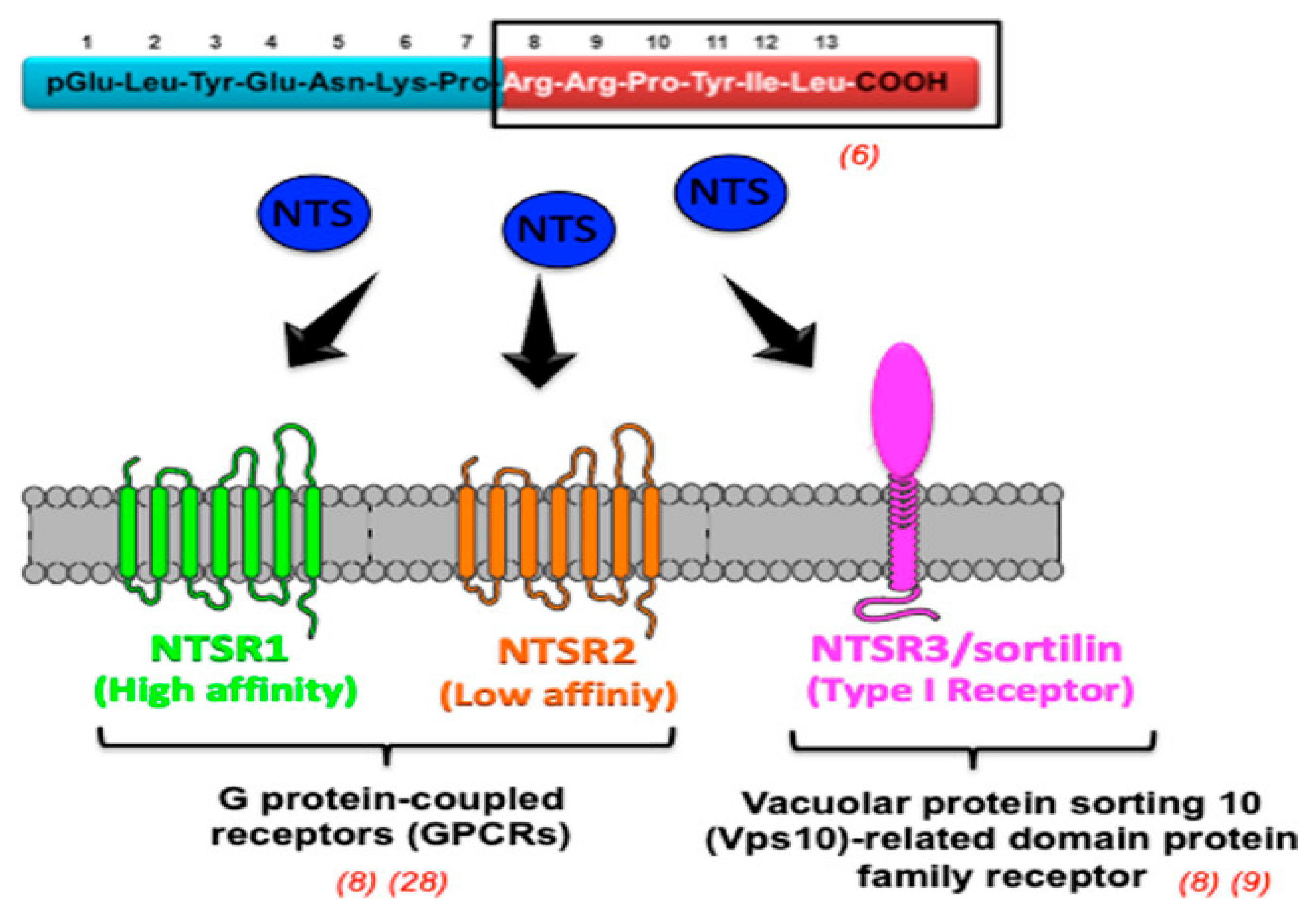 Cancers 16 03323 g005