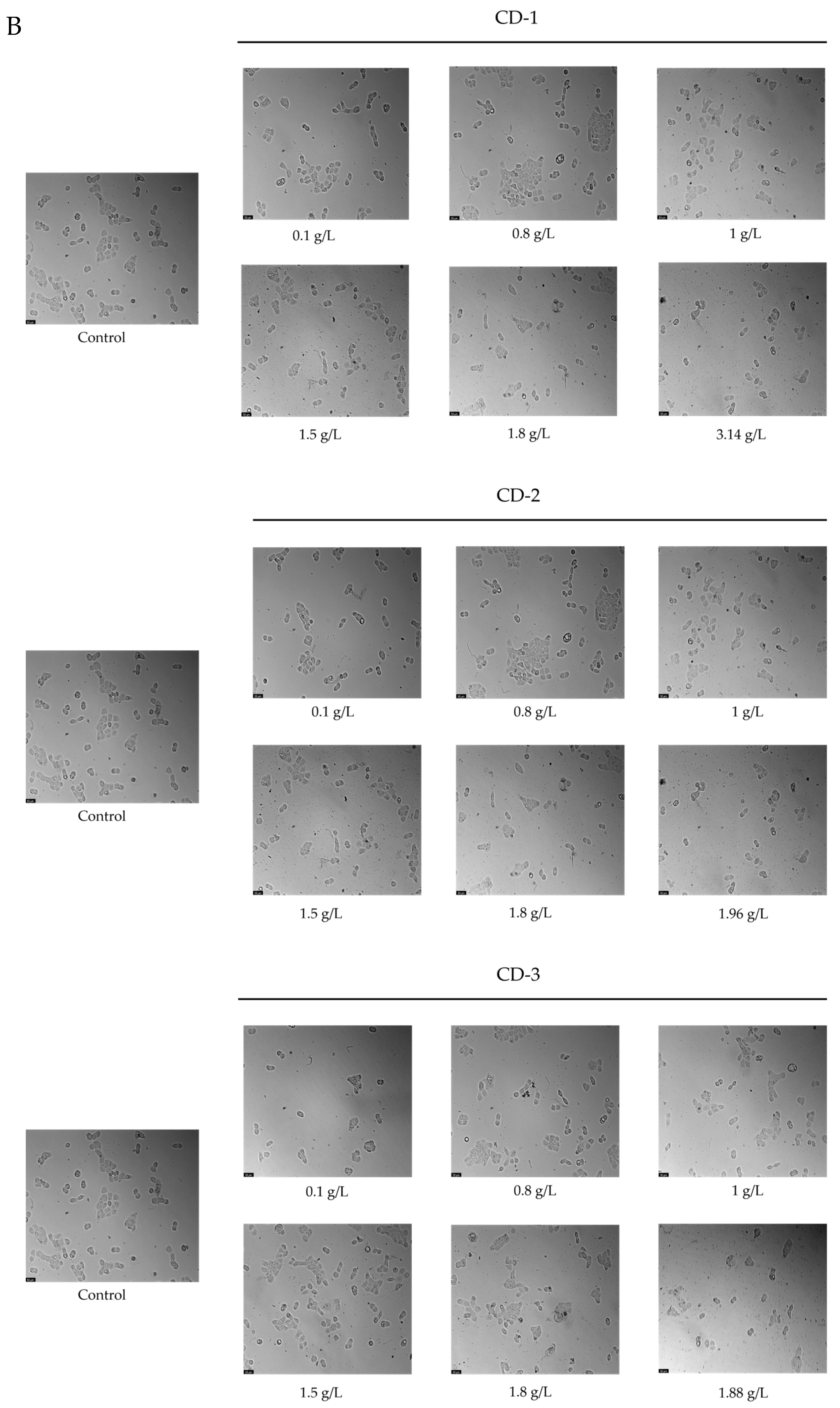 Cancers 16 03332 g008b