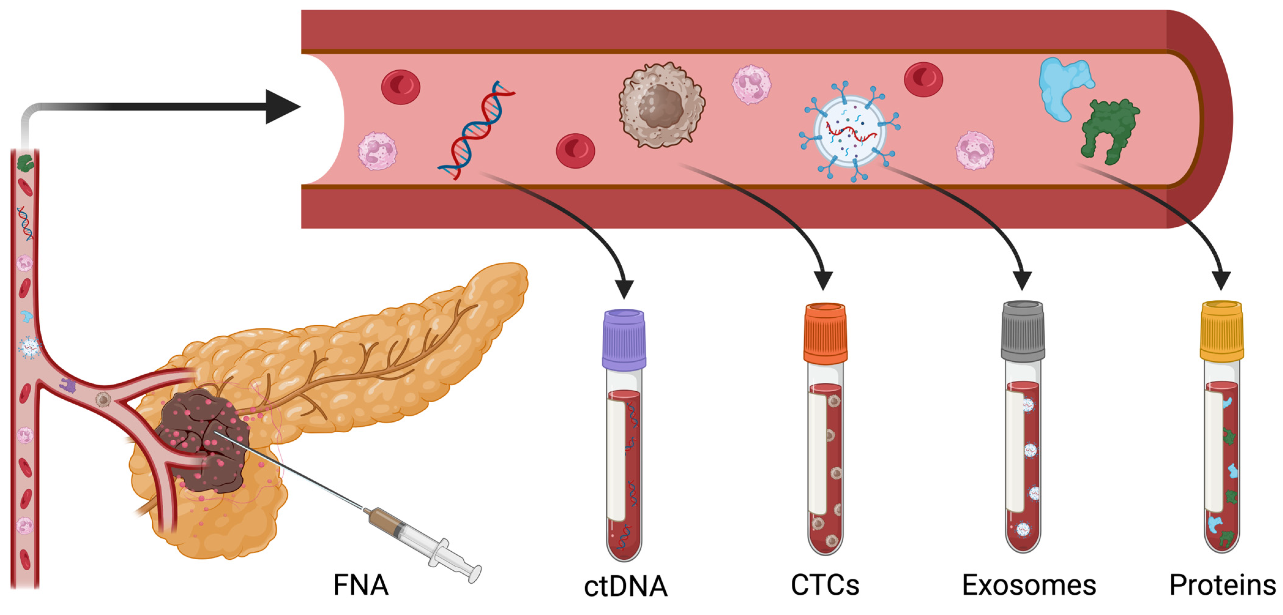 Cancers 16 03335 g001