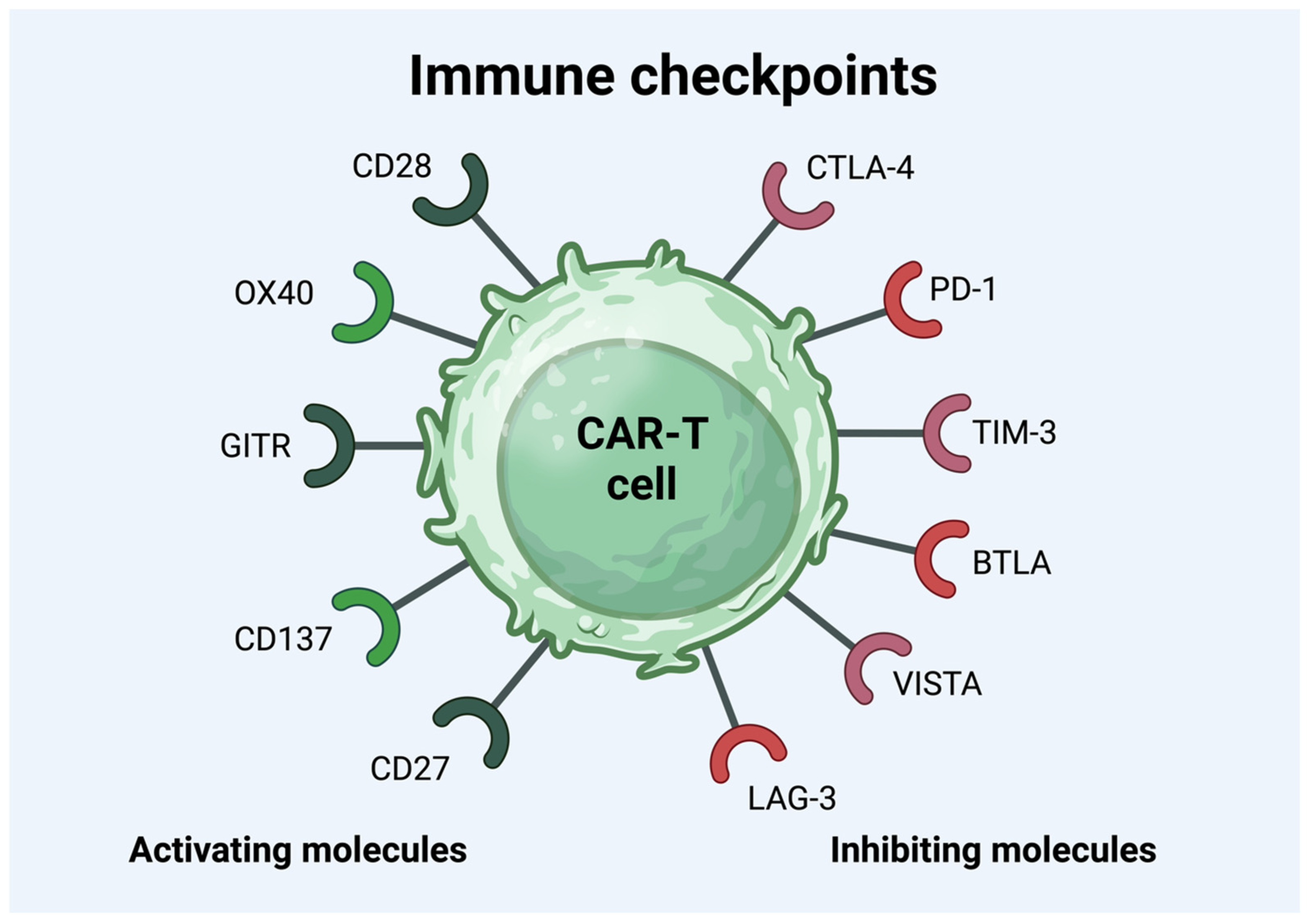 Cancers 16 03339 g001