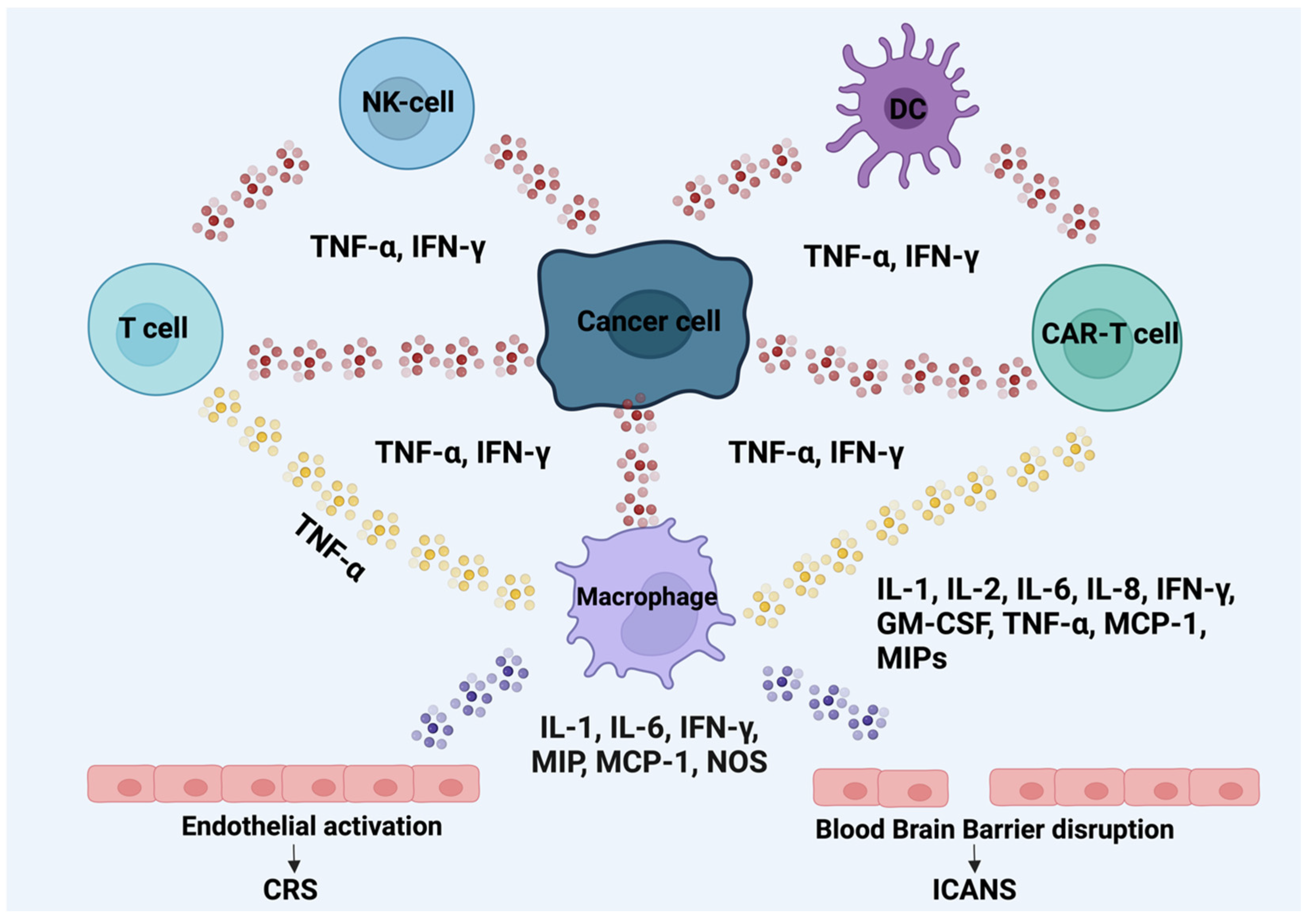 Cancers 16 03339 g002