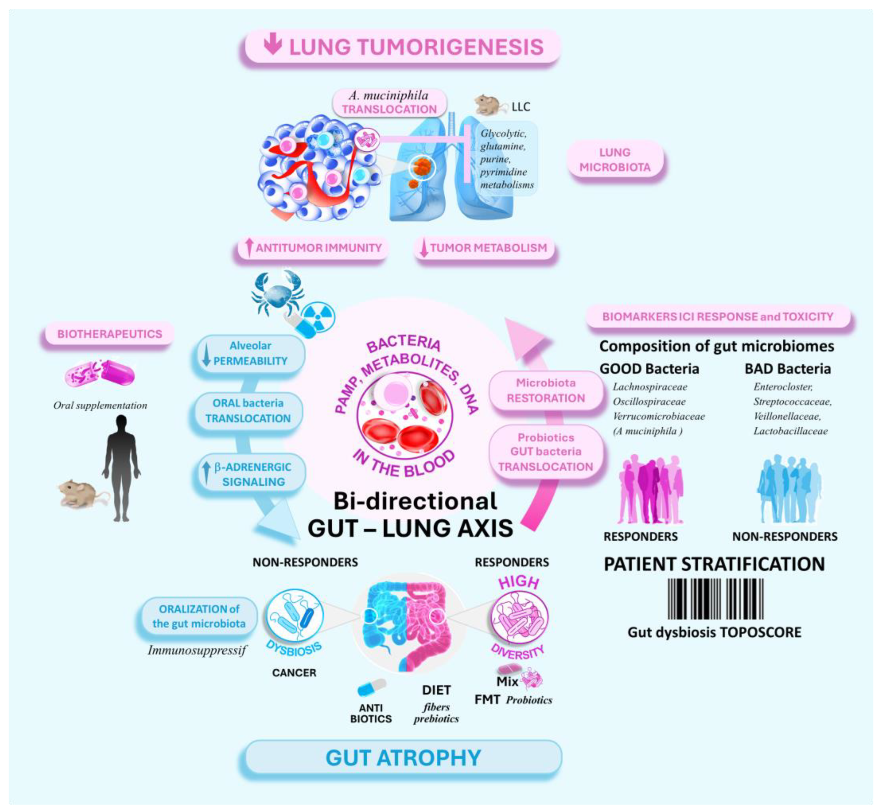 Cancers 16 03342 g002