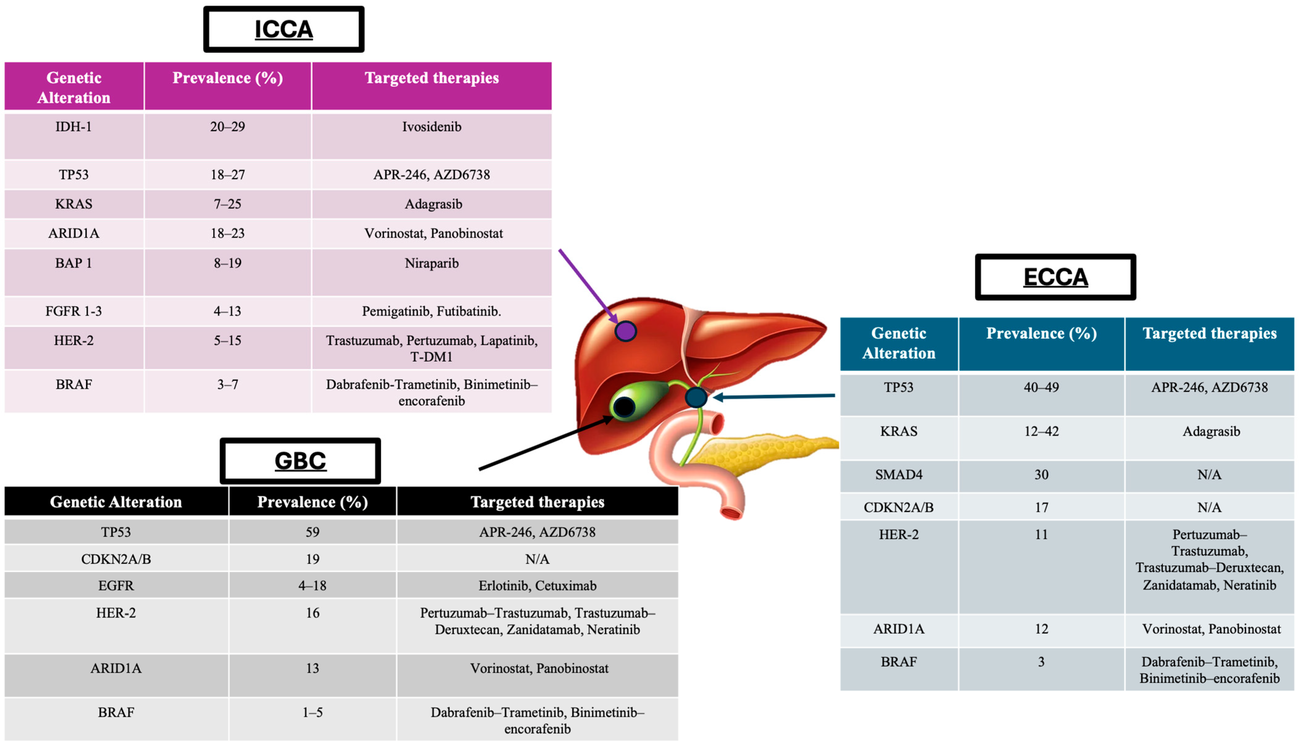Cancers 16 03345 g001