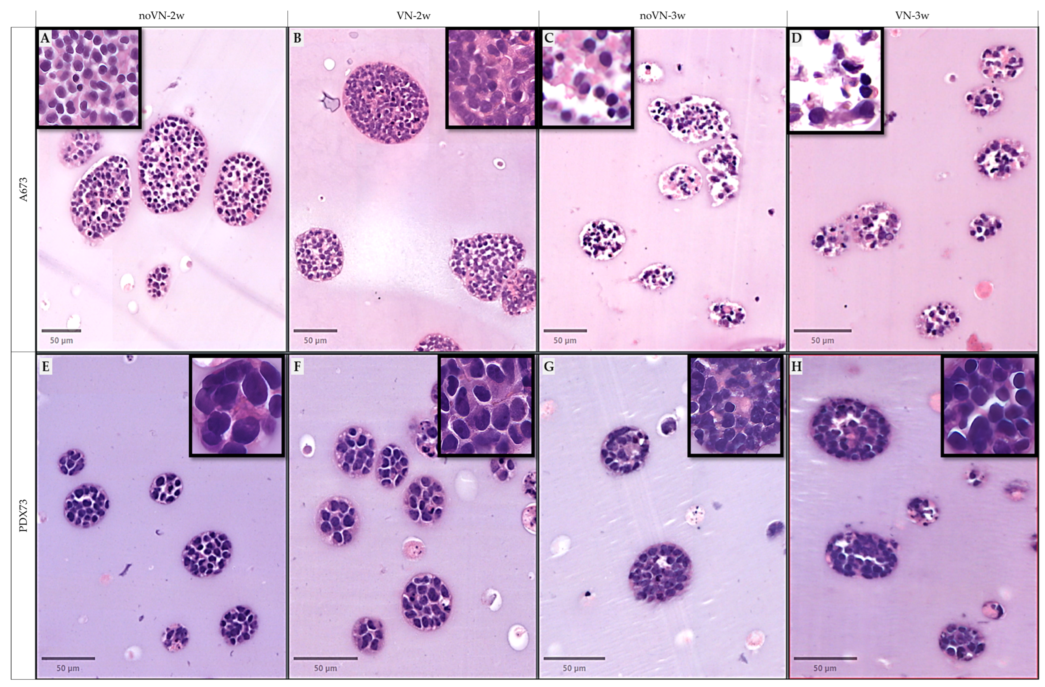 Cancers 16 03347 g003