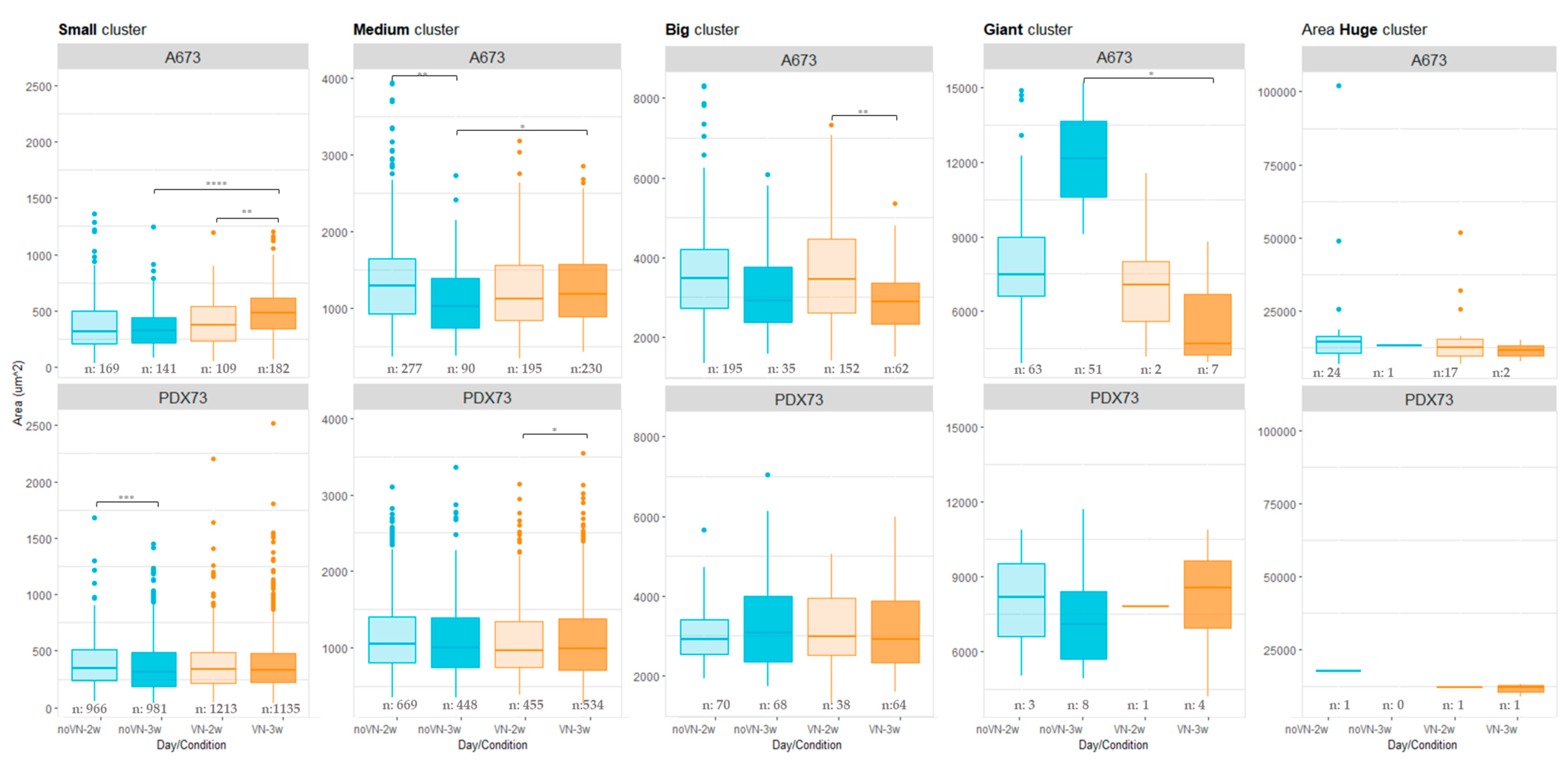 Cancers 16 03347 g006
