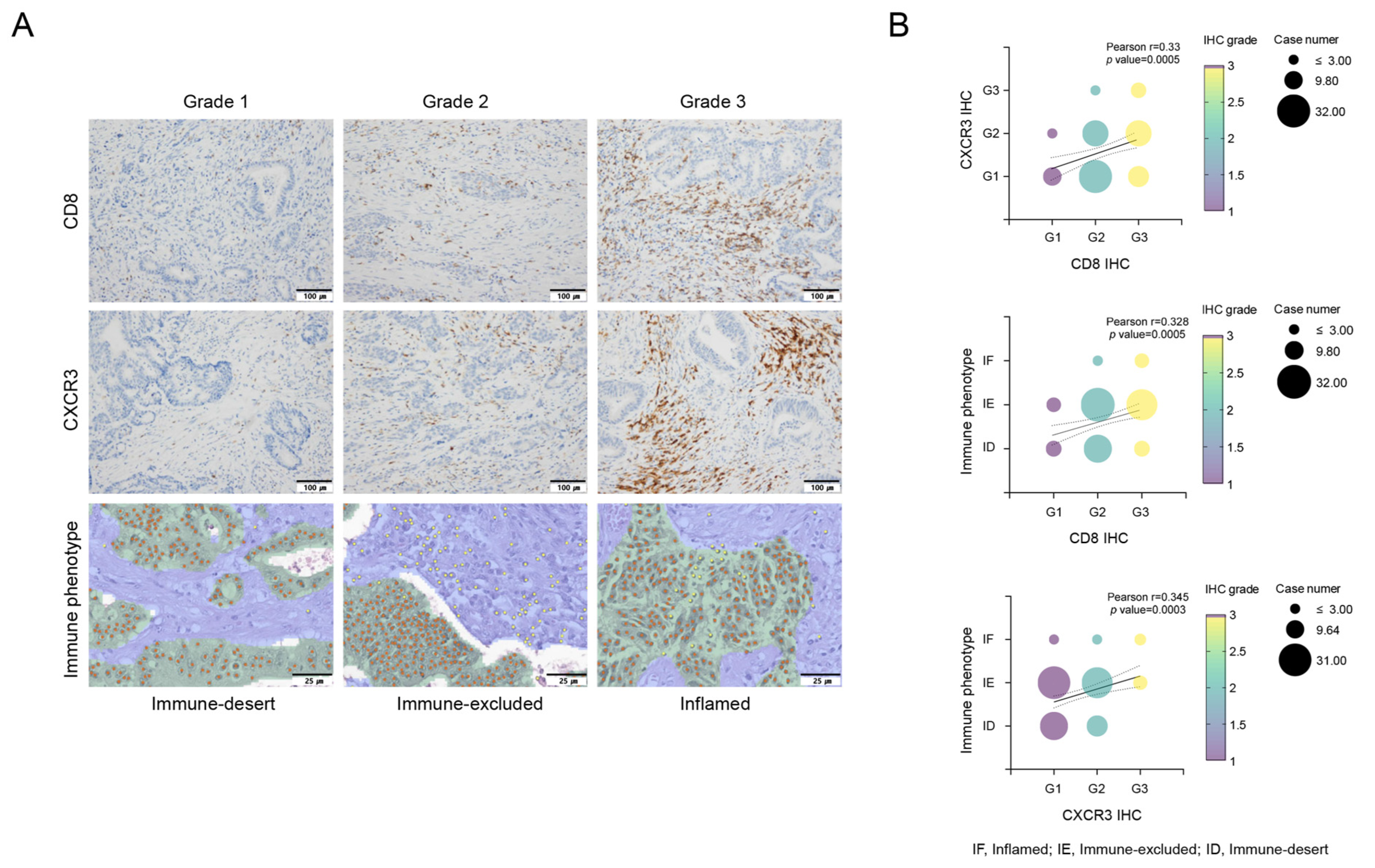 Cancers 16 03353 g001 Cancers 16 03353 g001