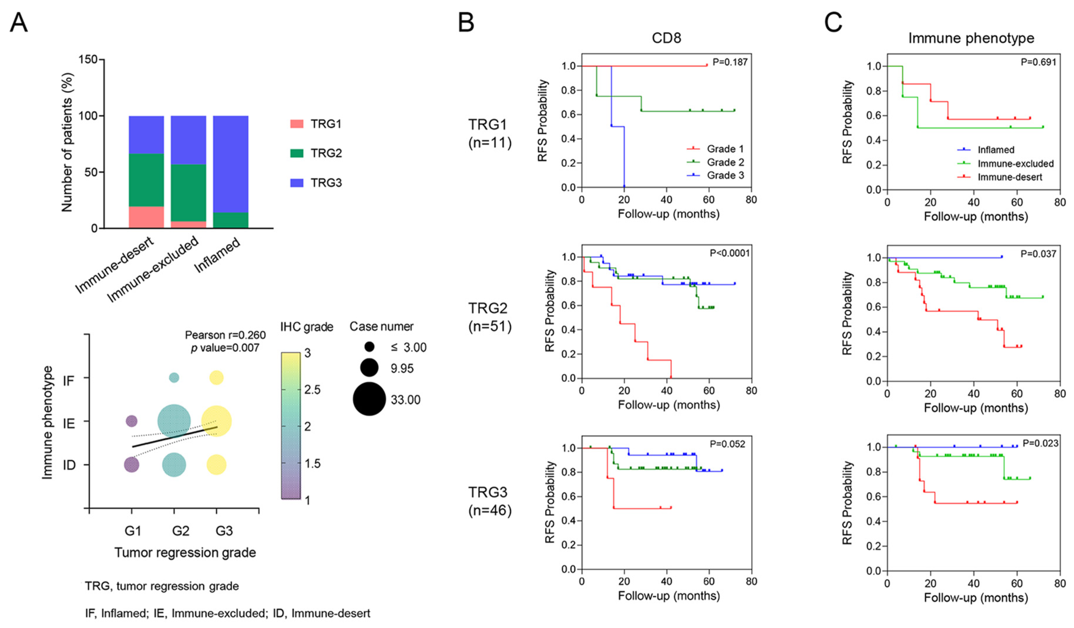 Cancers 16 03353 g002 Cancers 16 03353 g002