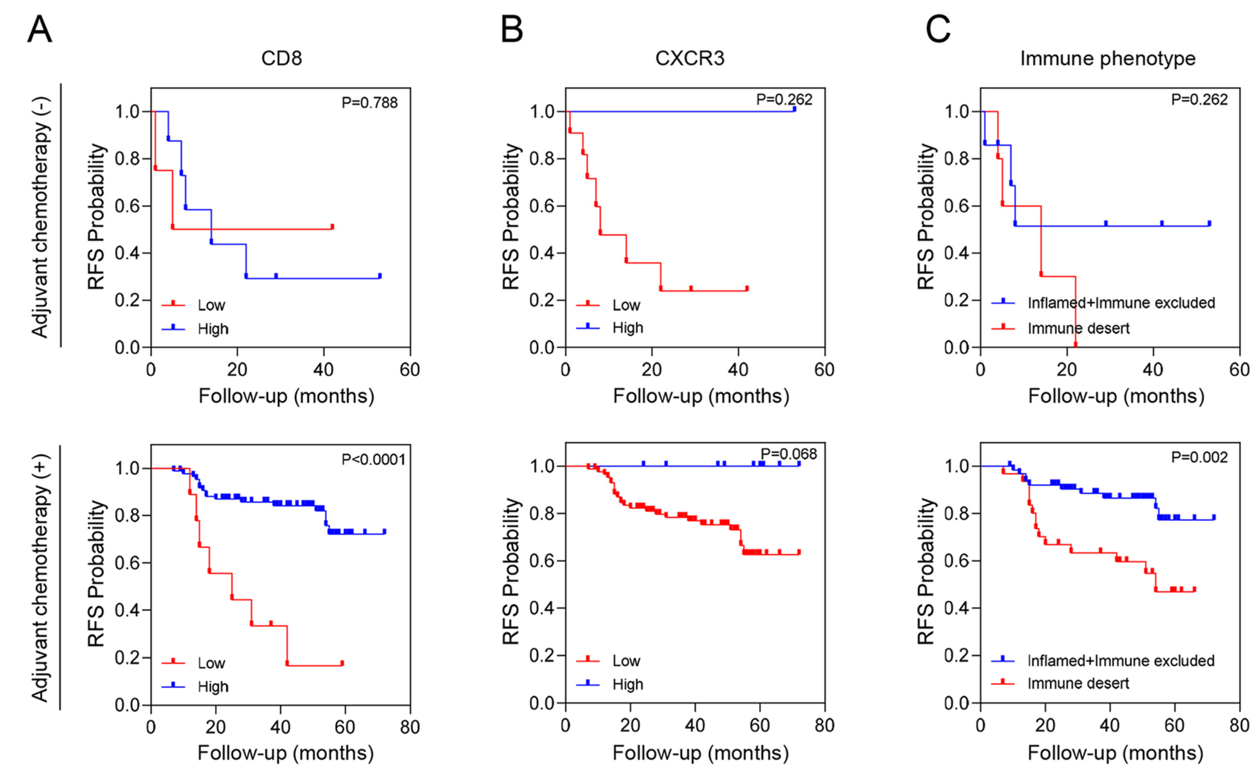 Cancers 16 03353 g003 Cancers 16 03353 g003
