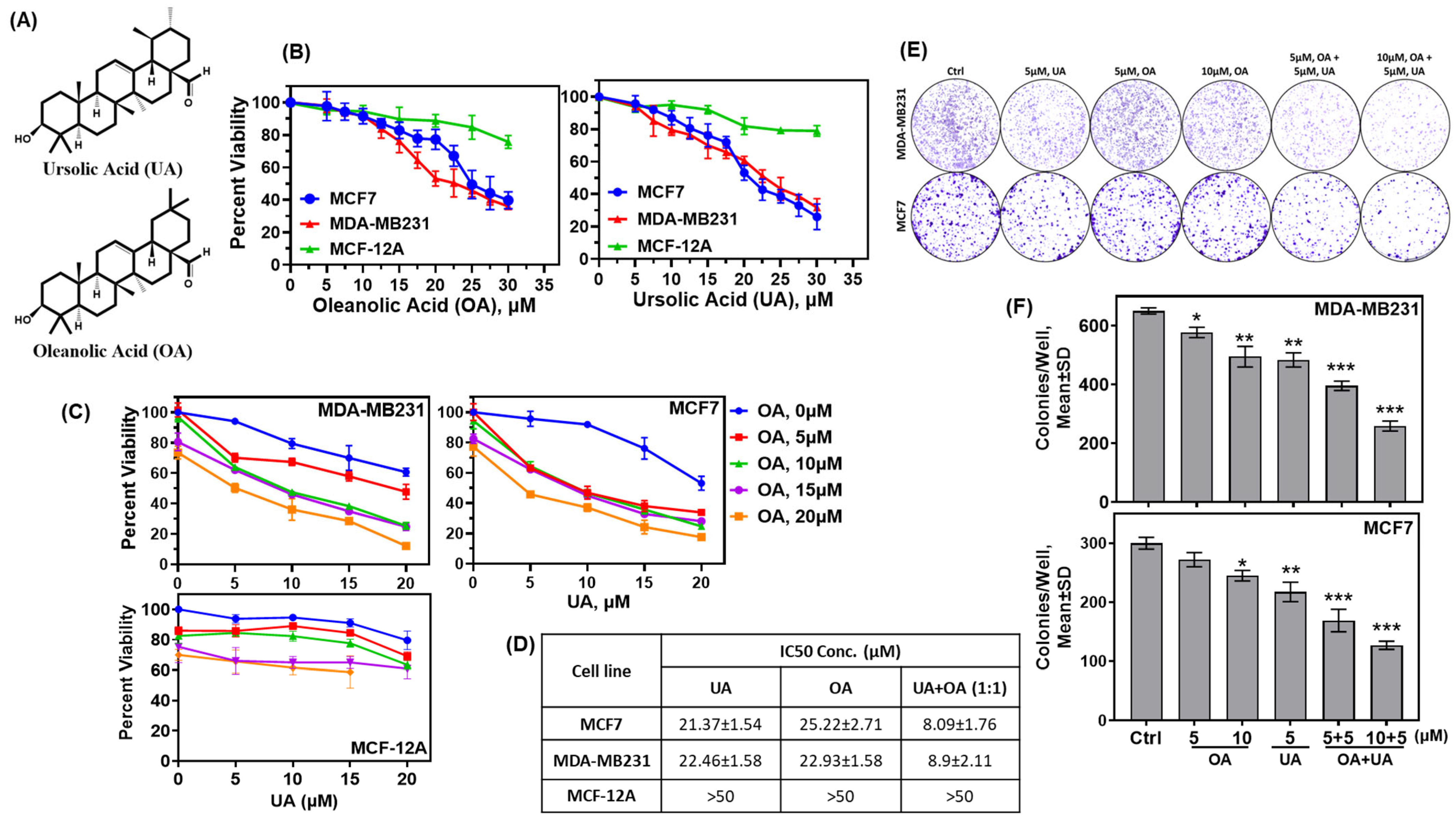 Cancers 16 03367 g001