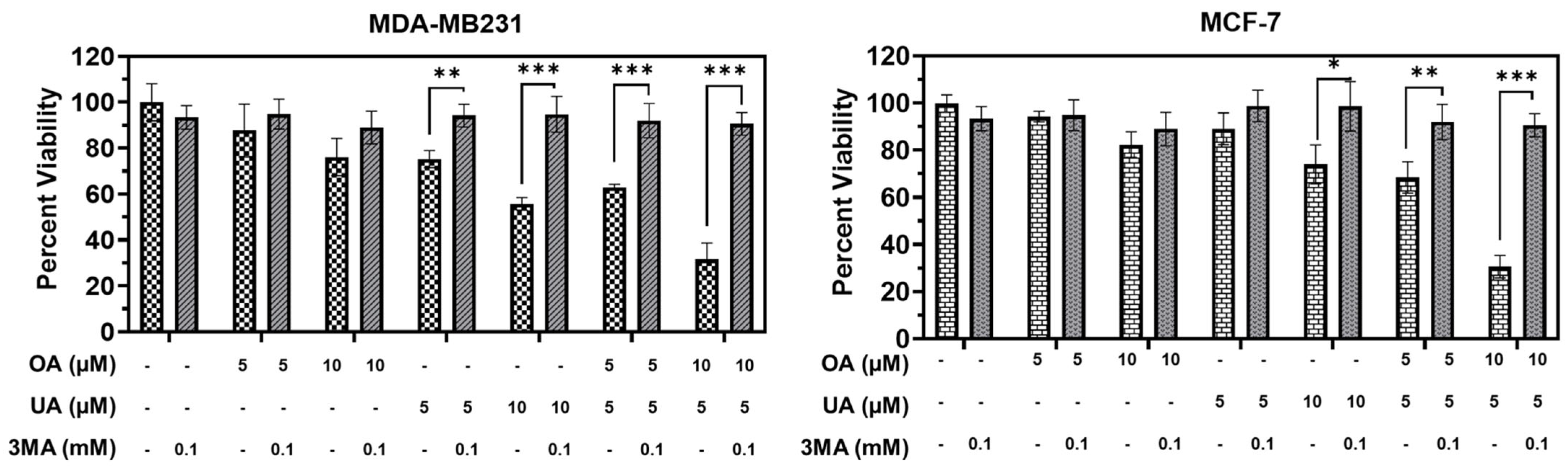 Cancers 16 03367 g007