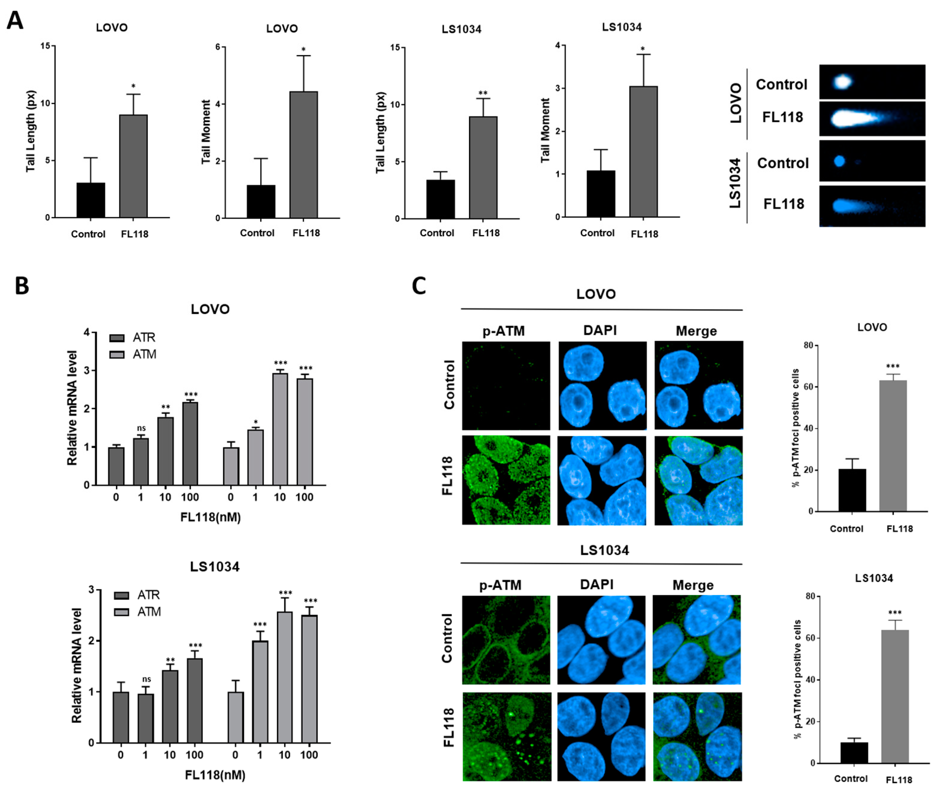 Cancers 16 03385 g002a
